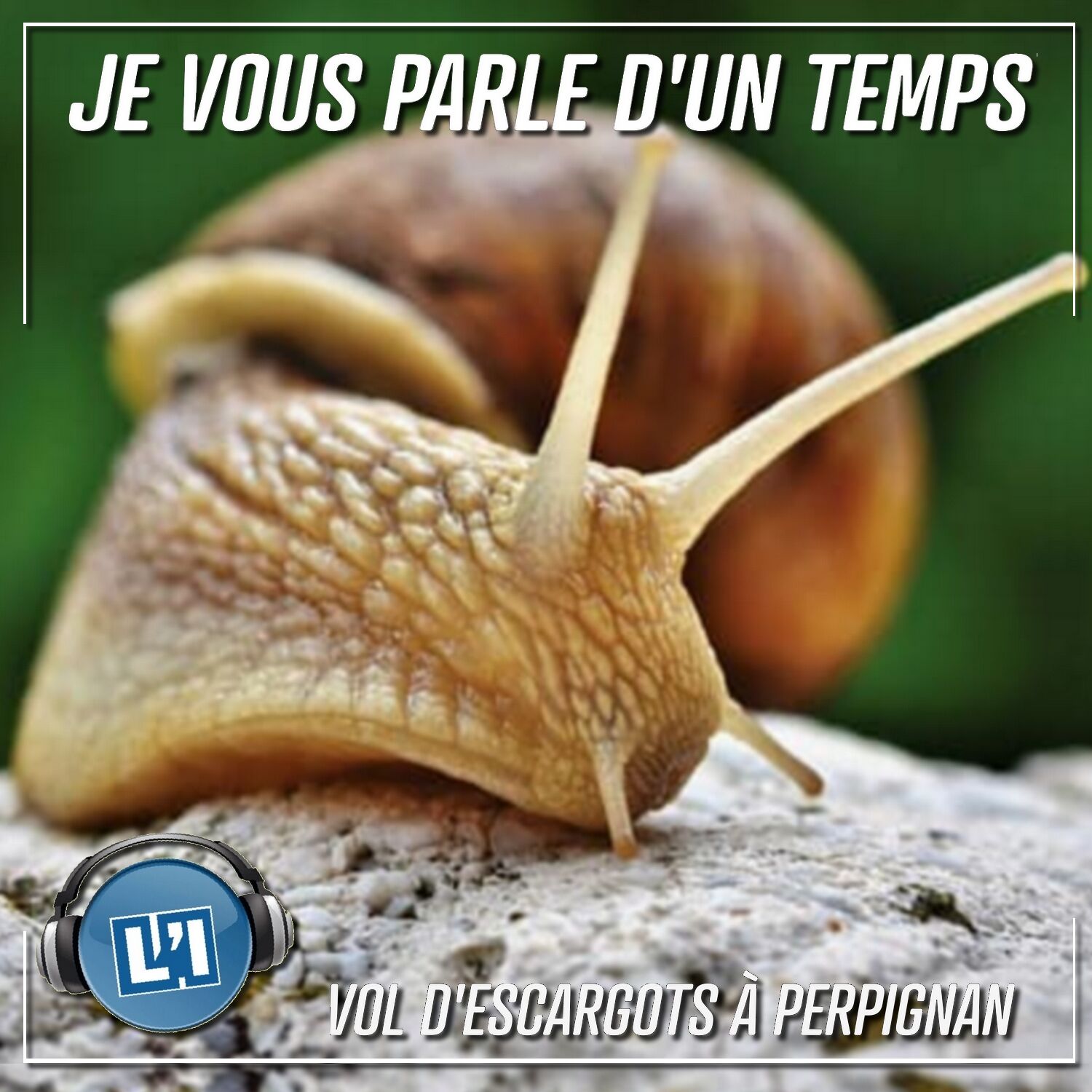 VOL D'ESCARGOTS À PERPIGNAN