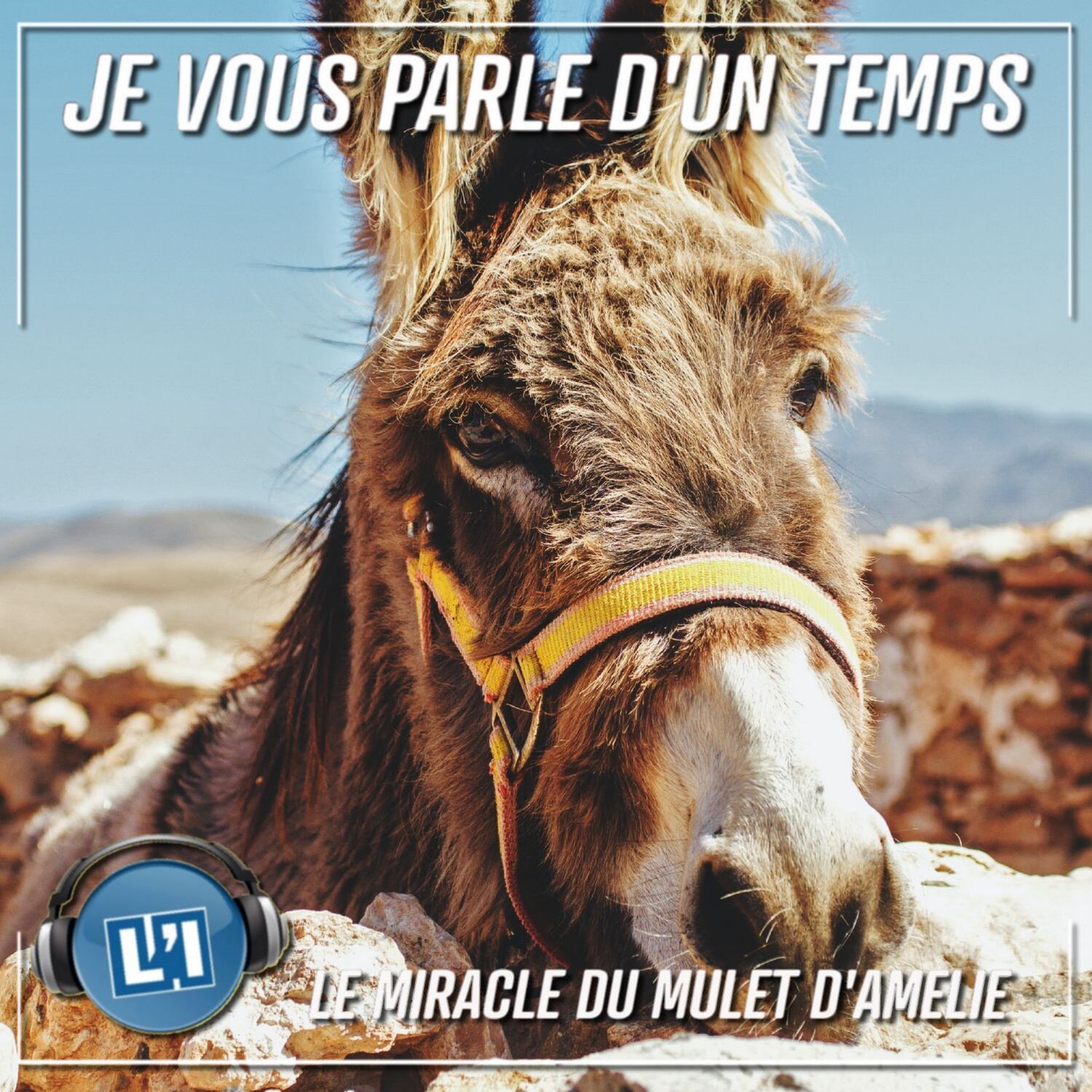 Le miracle du mulet d'Amélie !