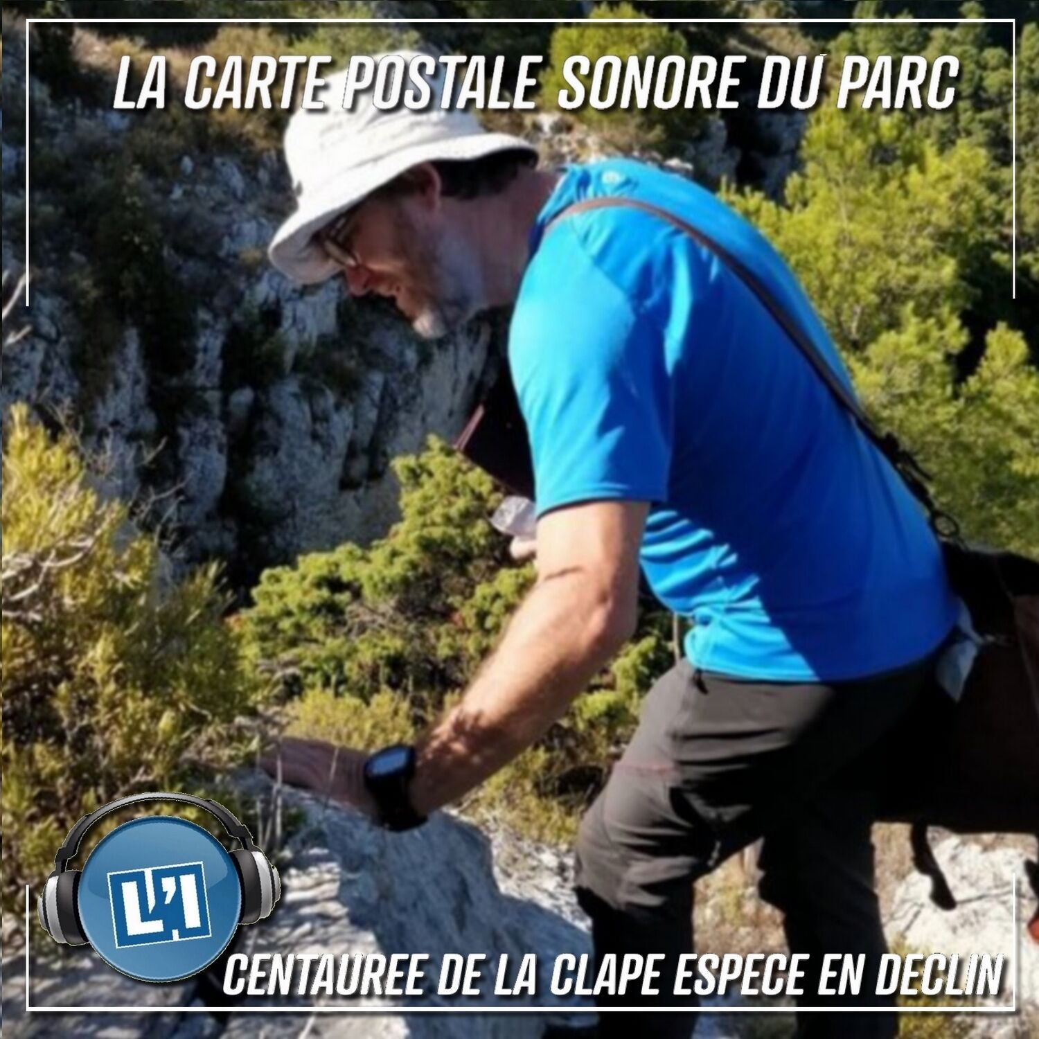 La Centaurée de la Clape espèce en déclin, avec Eric Imbert