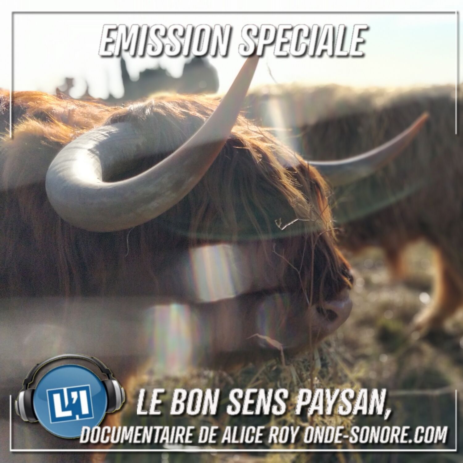 Le bon sens paysan, un documentaire d'Alice Roy de onde-sonore.com