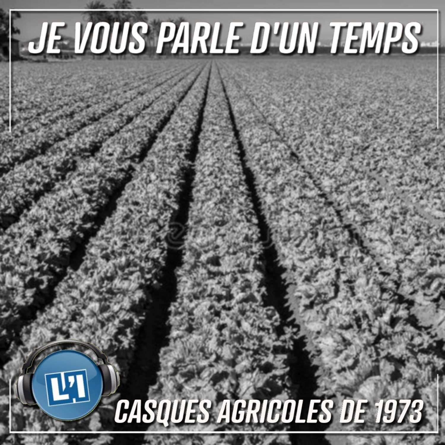 Masques agricoles de 1973