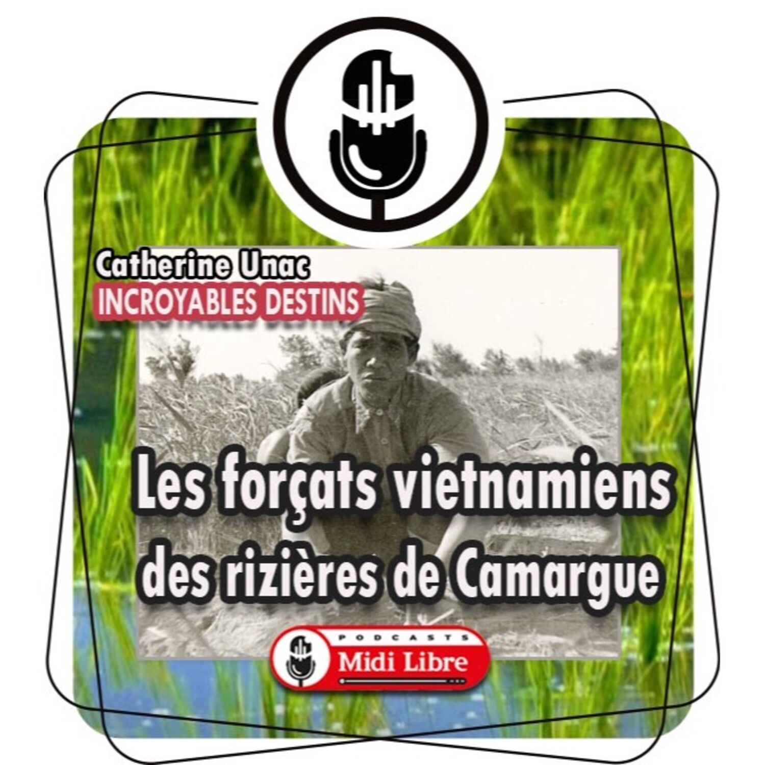 Les forçats vietnamiens des rizières de camargue episode artwork