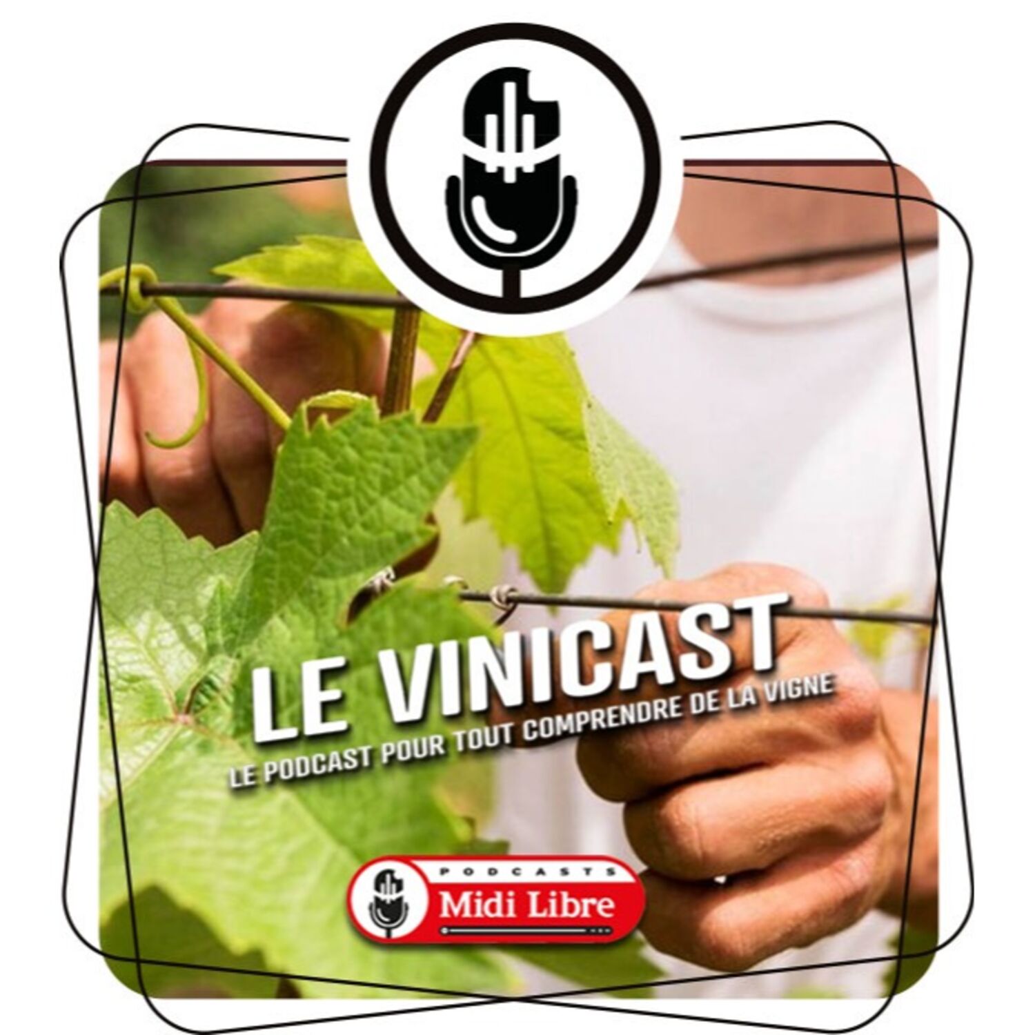 Comment prendre soin de la vigne ? episode artwork