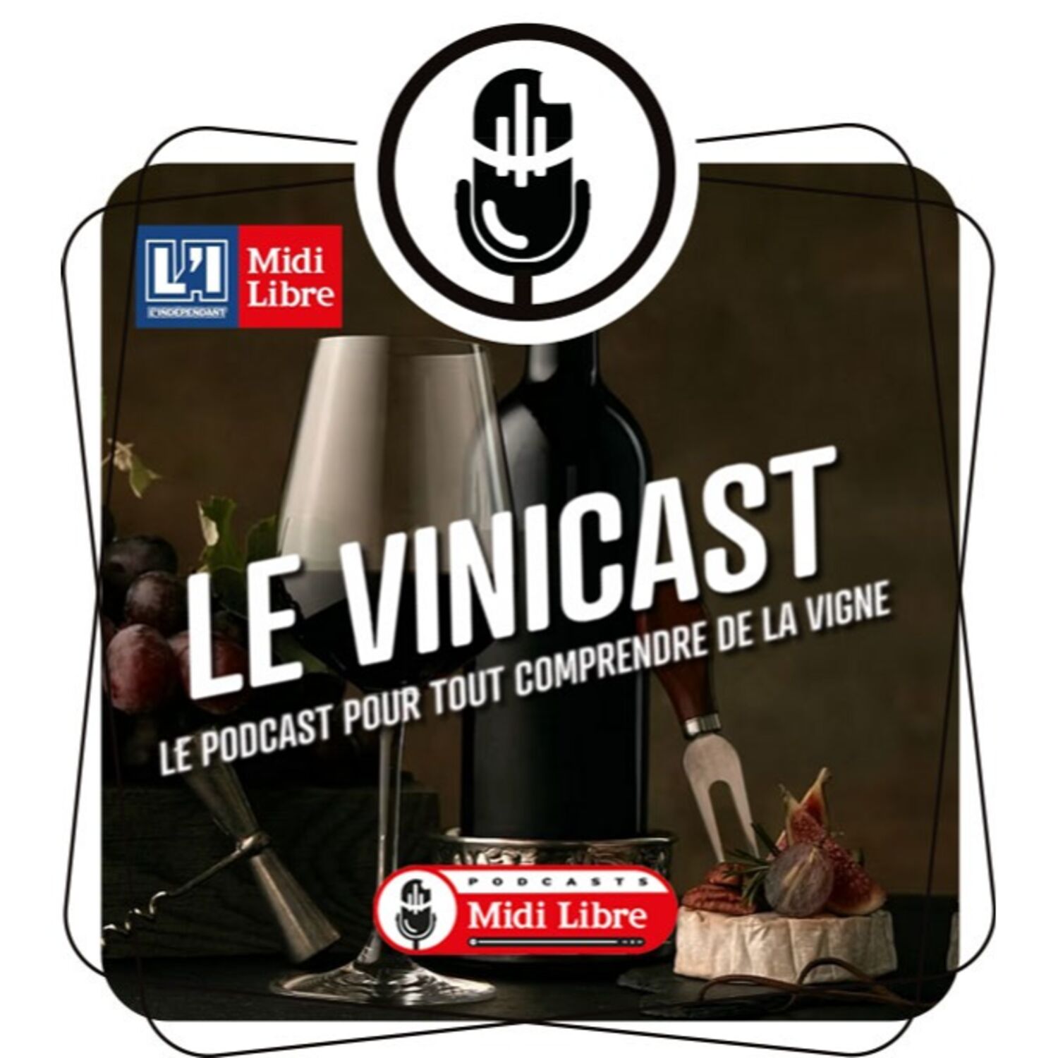 Vinicast, le podcast  pour tout comprendre sur la vigne podcast artwork