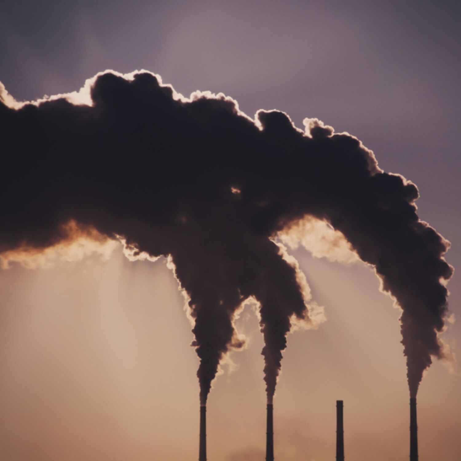 Rassegna settimanale