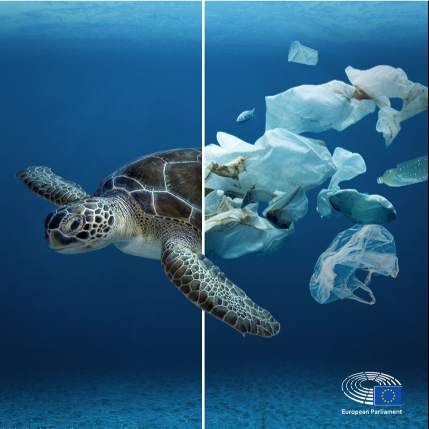 L'Unione europea e la lotta all'inquinamento da plastica: dai prodotti monouso alle microplastiche