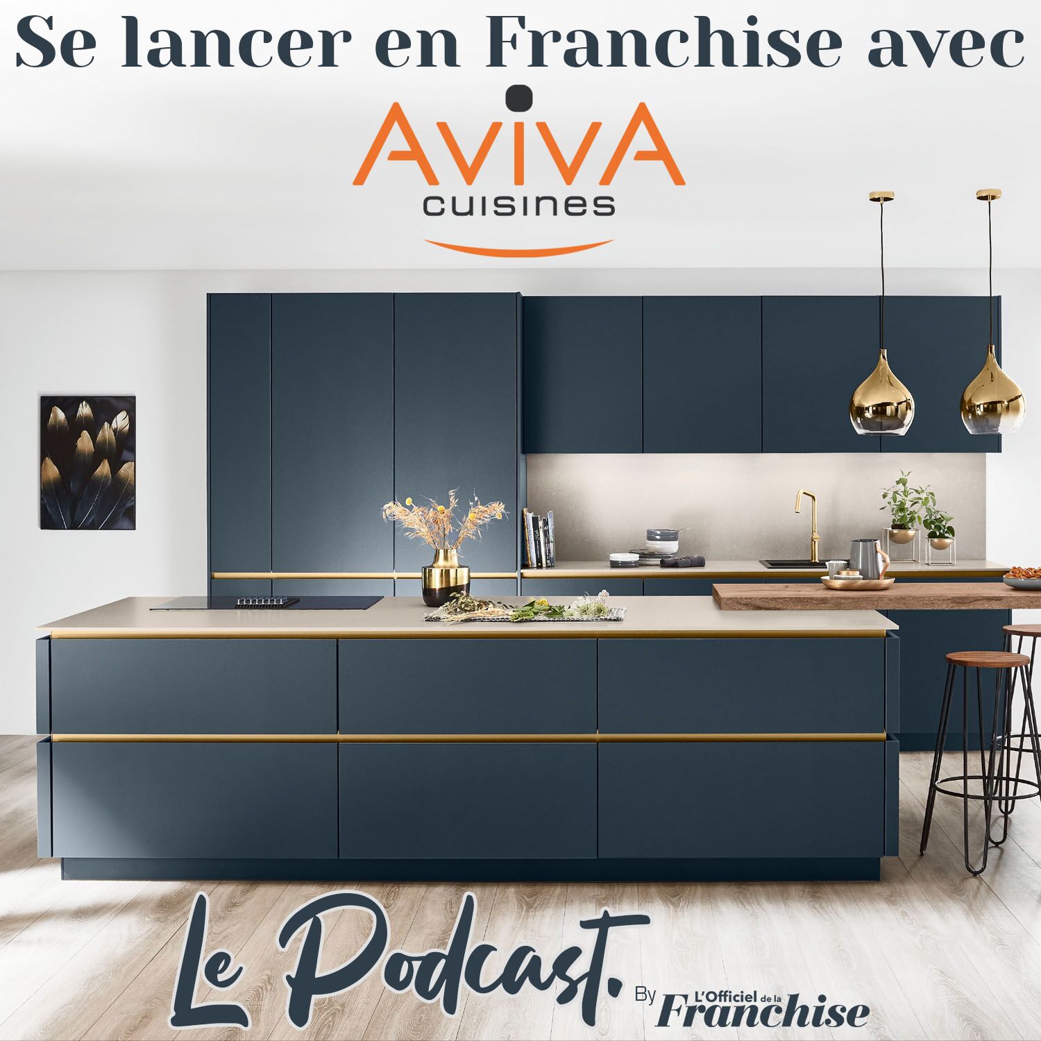 Se lancer en franchise avec AvivA