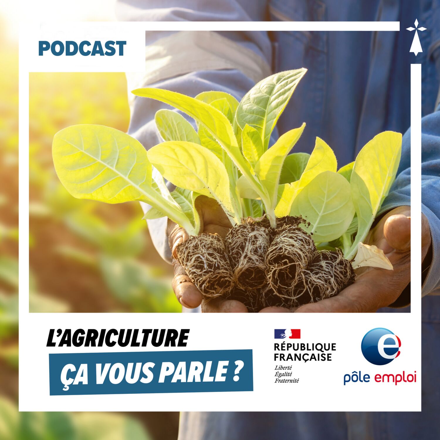 Ça vous parle ?