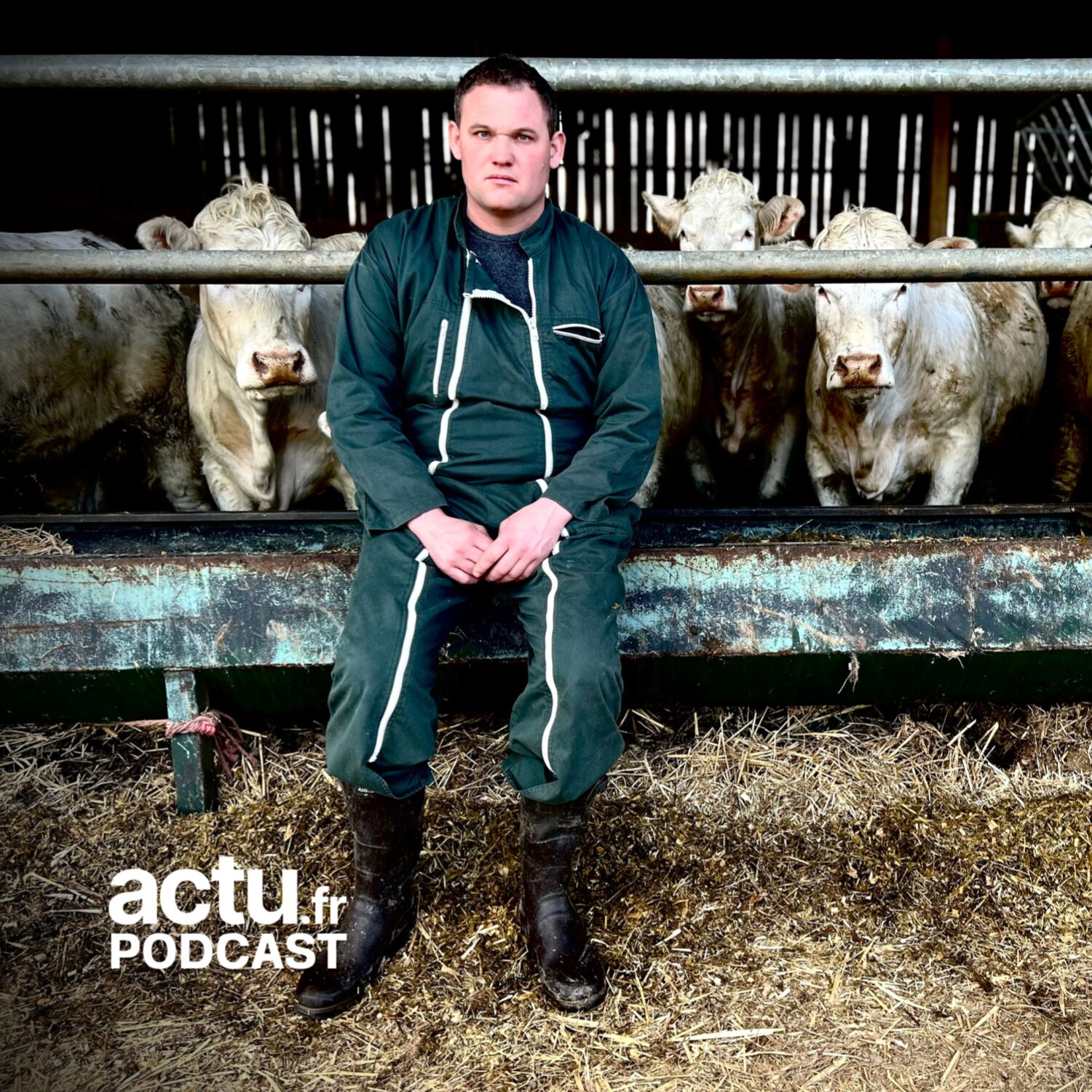 L'administration a tué les 560 vaches de Guillaume