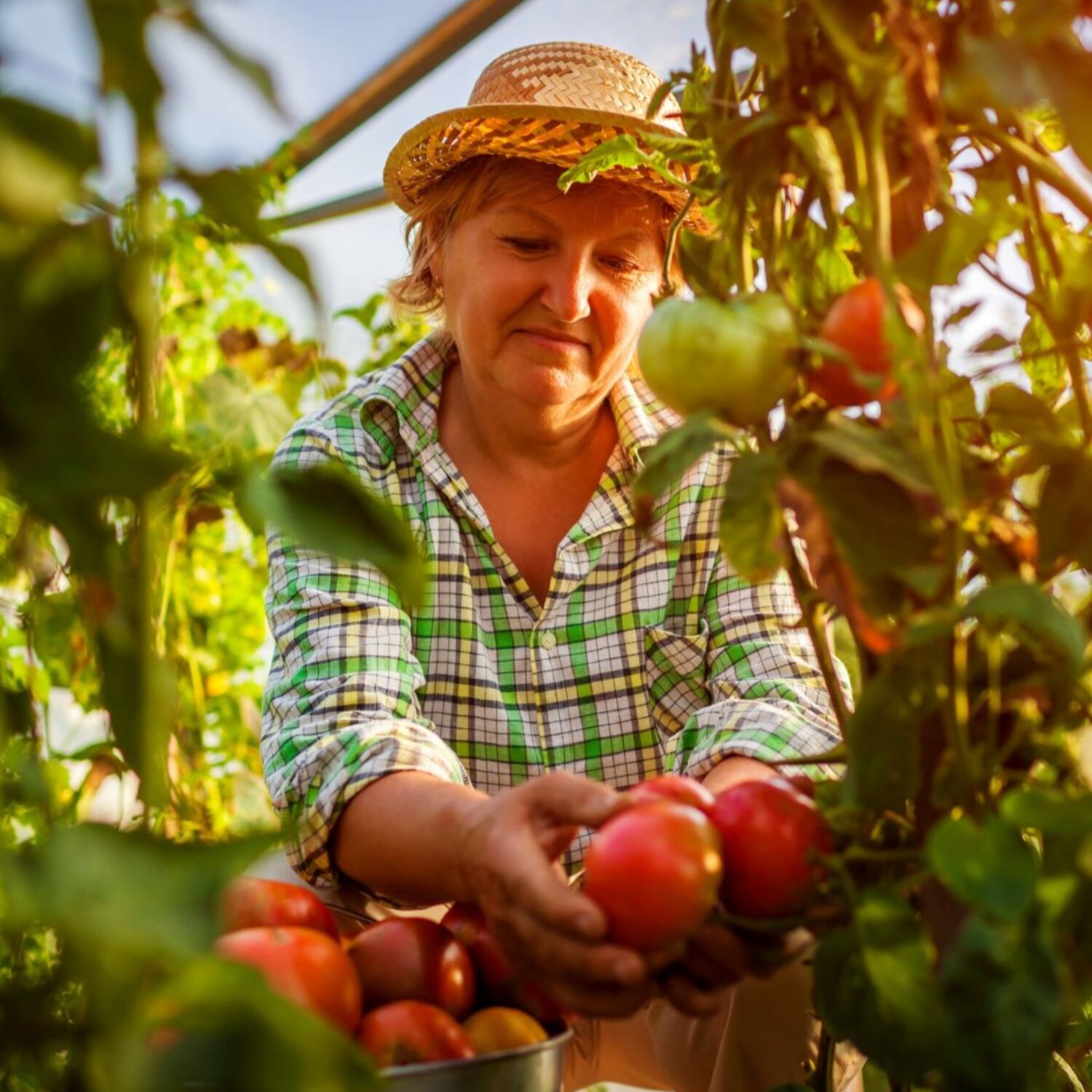 La vulnérabilité des travailleuses migrantes dans l’agriculture européenne: la nécessité d’avoir une approche fondée sur les droits de l’homme et sur l’égalité entre les genres