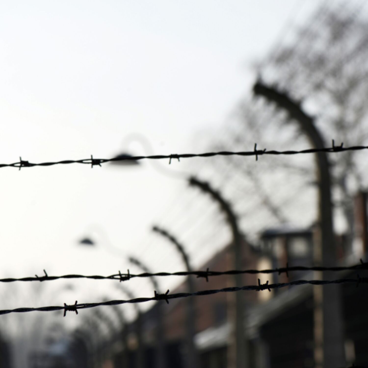 Journée internationale dédiée à la mémoire des victimes de l’Holocauste