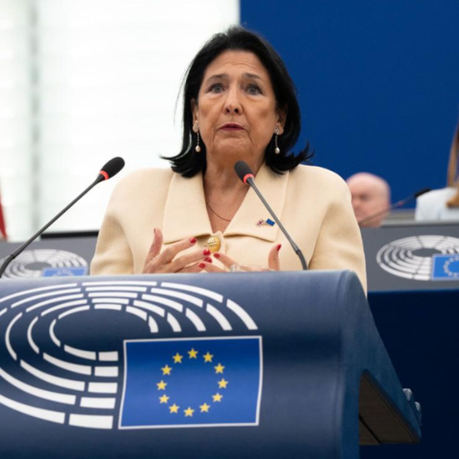 Synthèse de la plénière - Strasbourg, décembre 2024