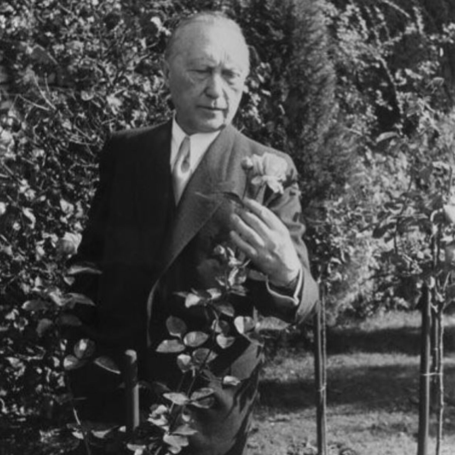 Konrad Adenauer, symbole d’unité et de paix
