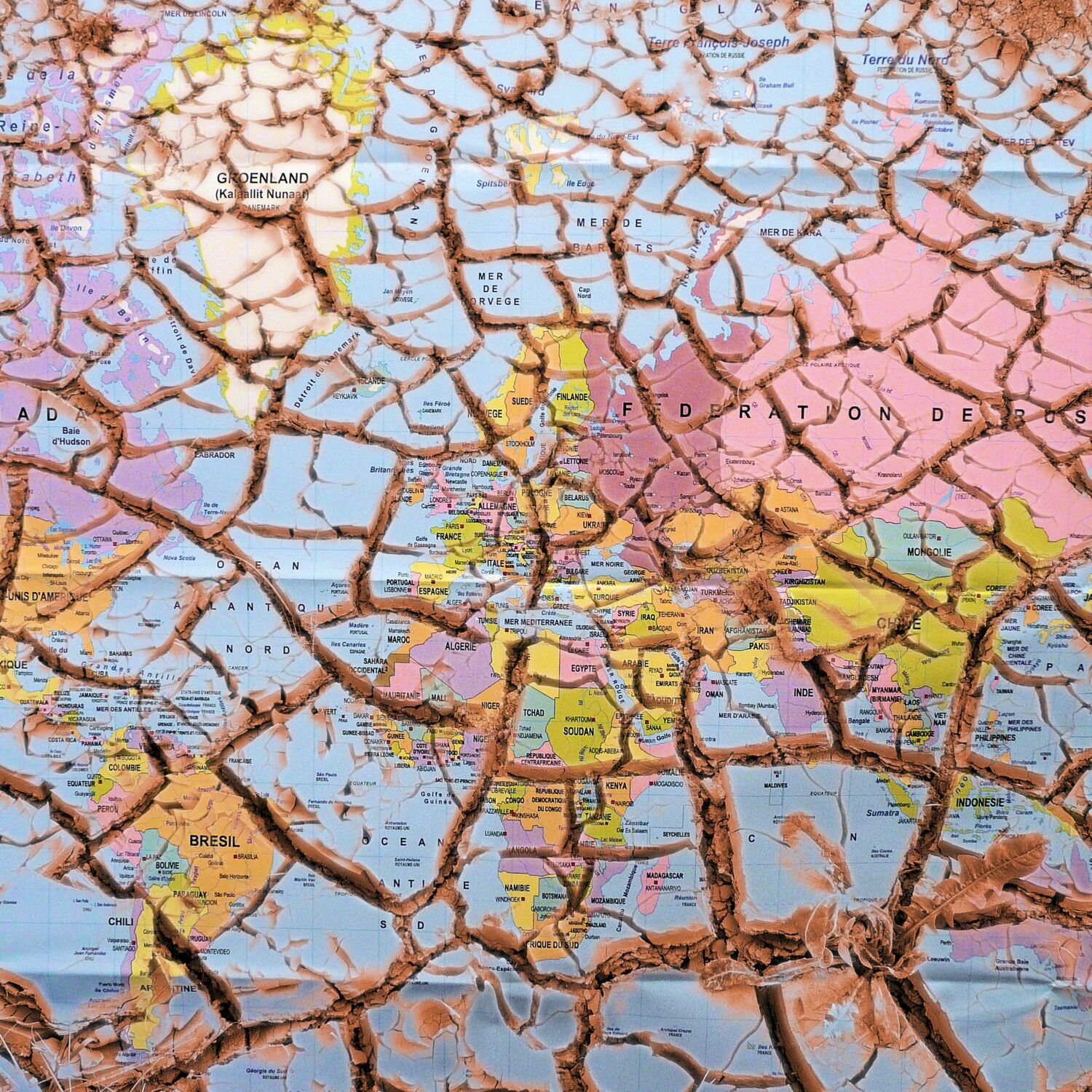 Journée mondiale de l’environnement 2024
