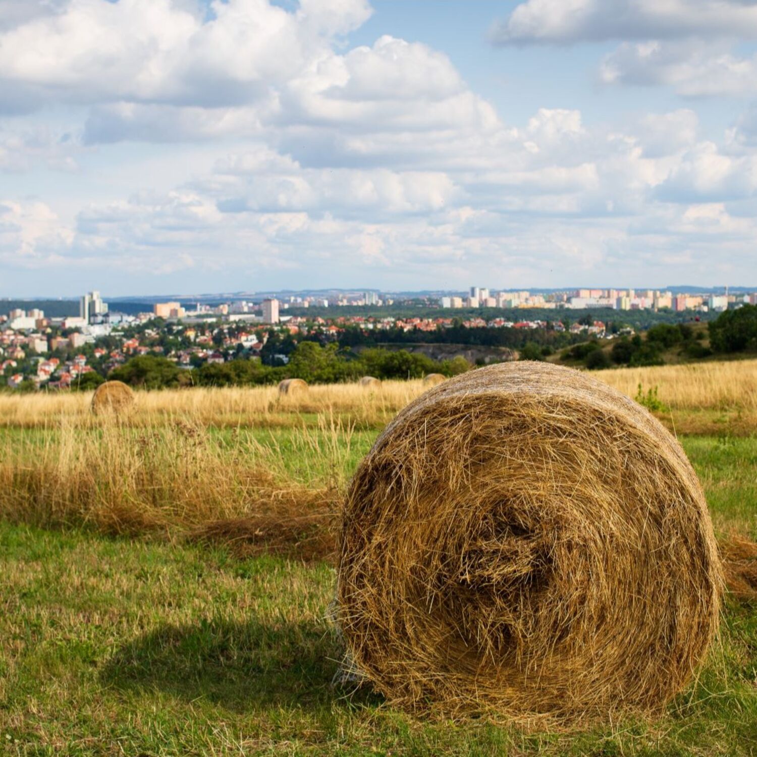 Vers un système alimentaire plus durable au sein de l’Union européenne