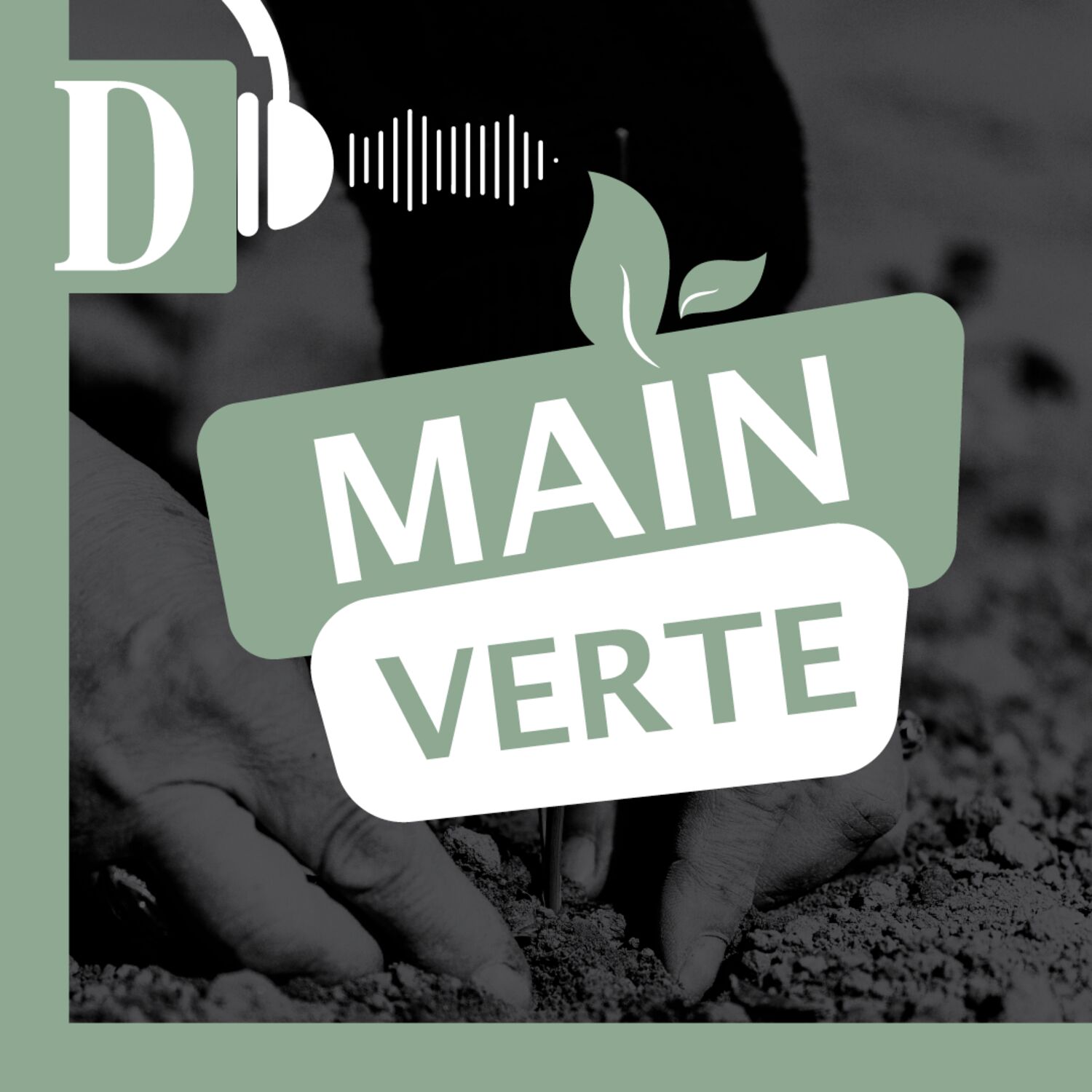 Main Verte : les initiatives écologiques qui font le futur en Occitanie