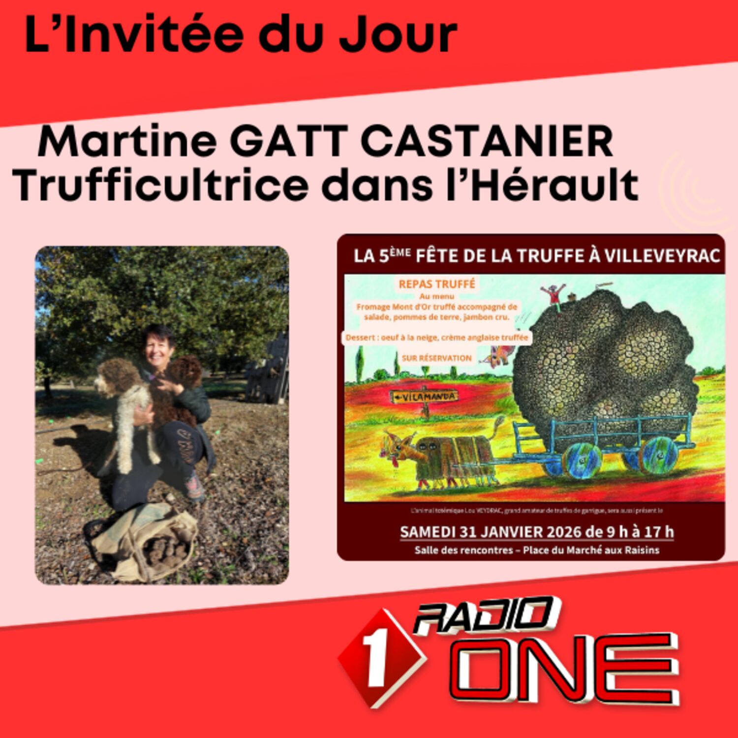 Martine GATT CASTANIER La Fête de la Truffe à Villeveyrac