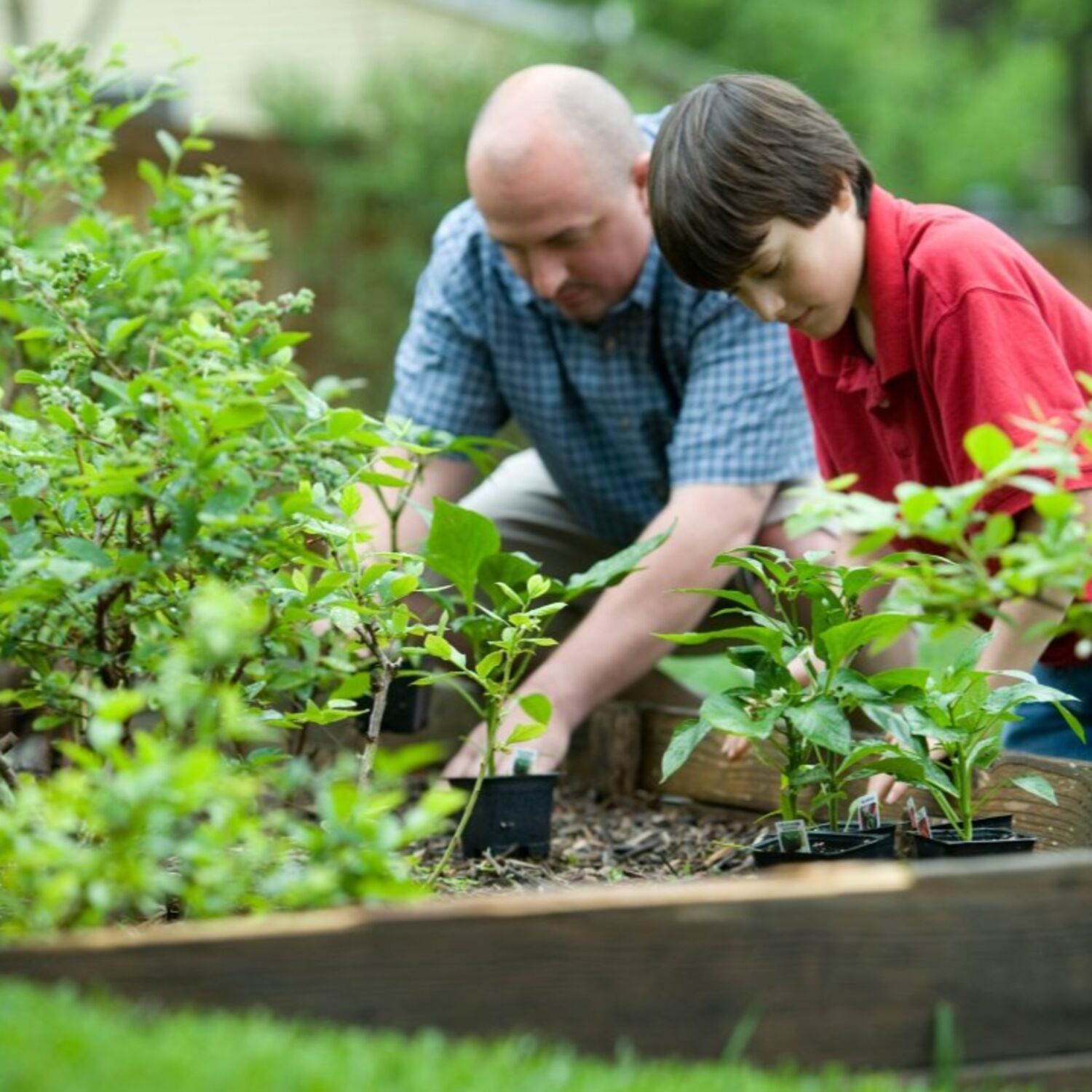 Kempermaculture propose des ateliers sur le jardinage