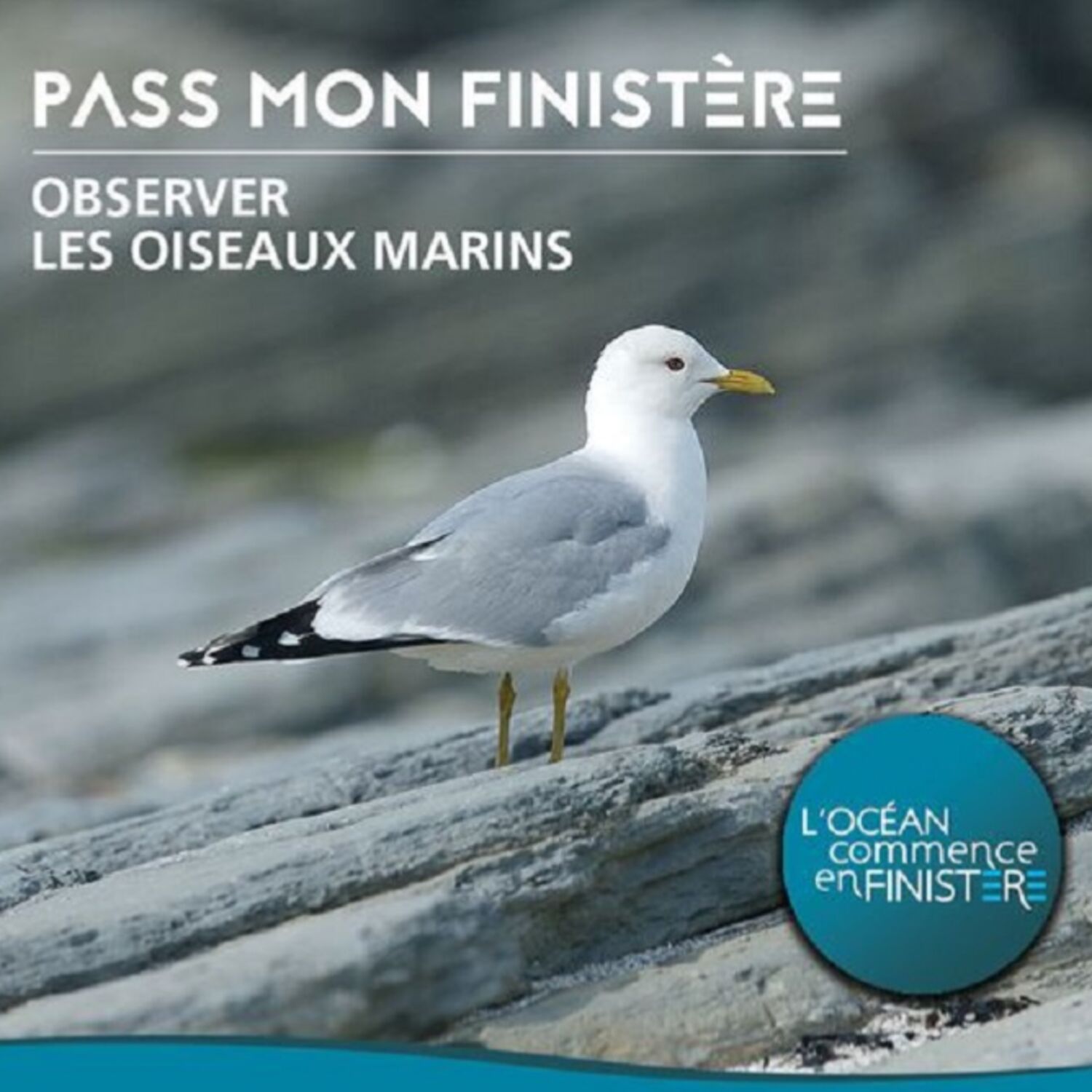 Février : le mois de l'Océan en Finistère !
