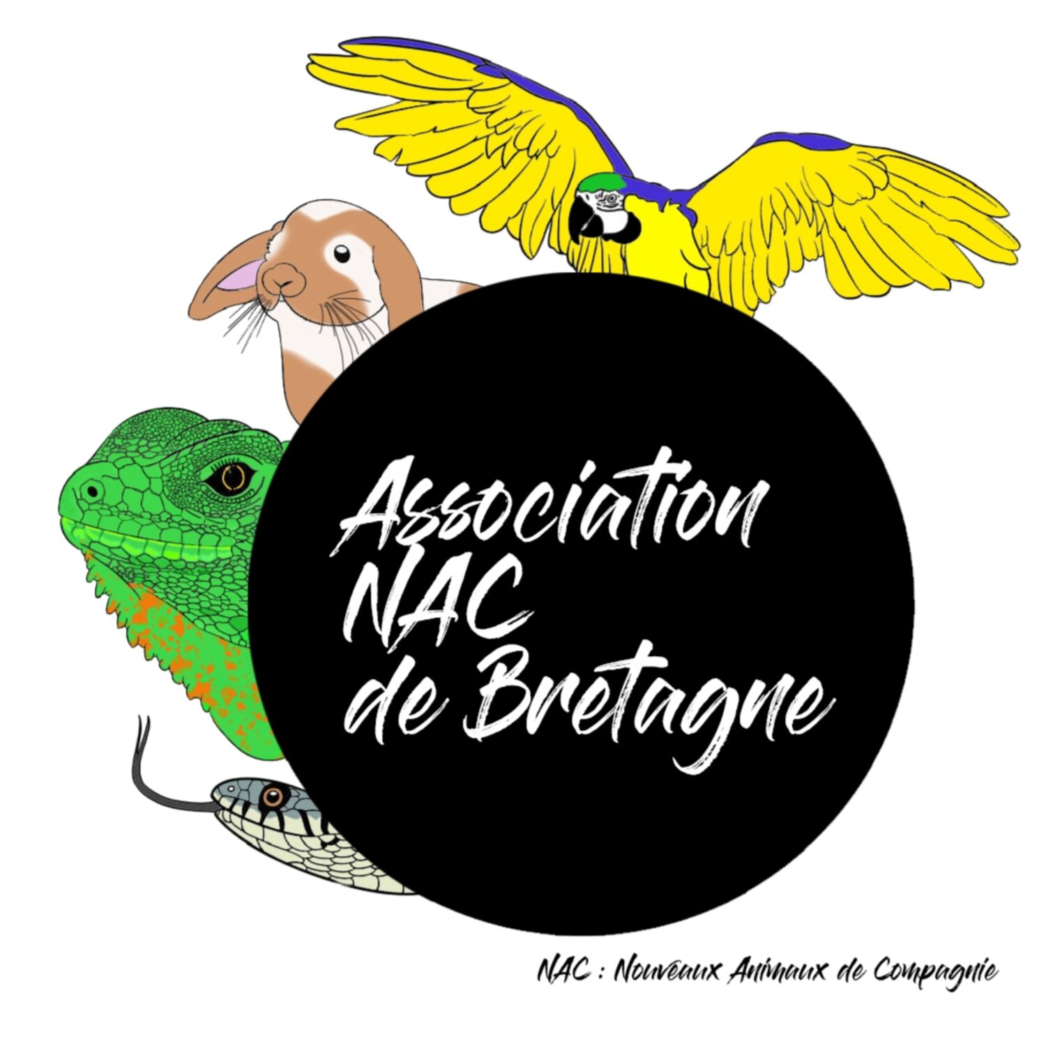 Association NAC de Bretagne
