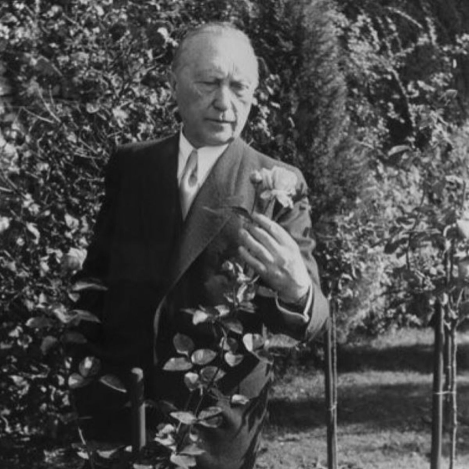 Konrad Adenauer, az egység és a béke szószólója