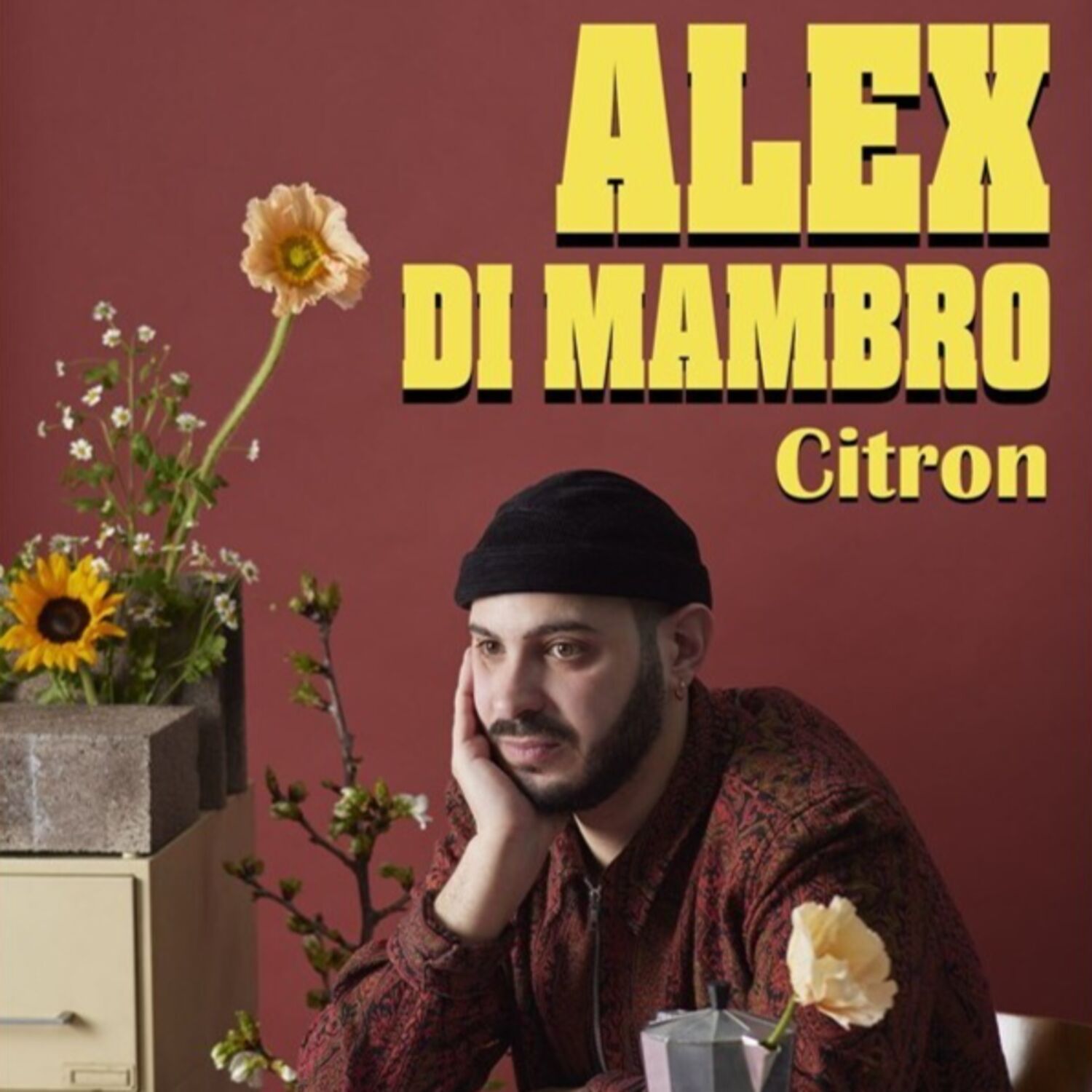 Interview Alexandre Di Mambro - Star VIP