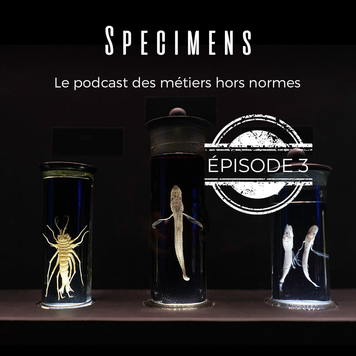 ÉPISODE 3 : ÉDUCATRICE CANIN, UN METIER QUI A DU CHIEN ÉPISODE 3 : ÉDUCATRICE CANIN, UN METIER QUI A DU CHIEN