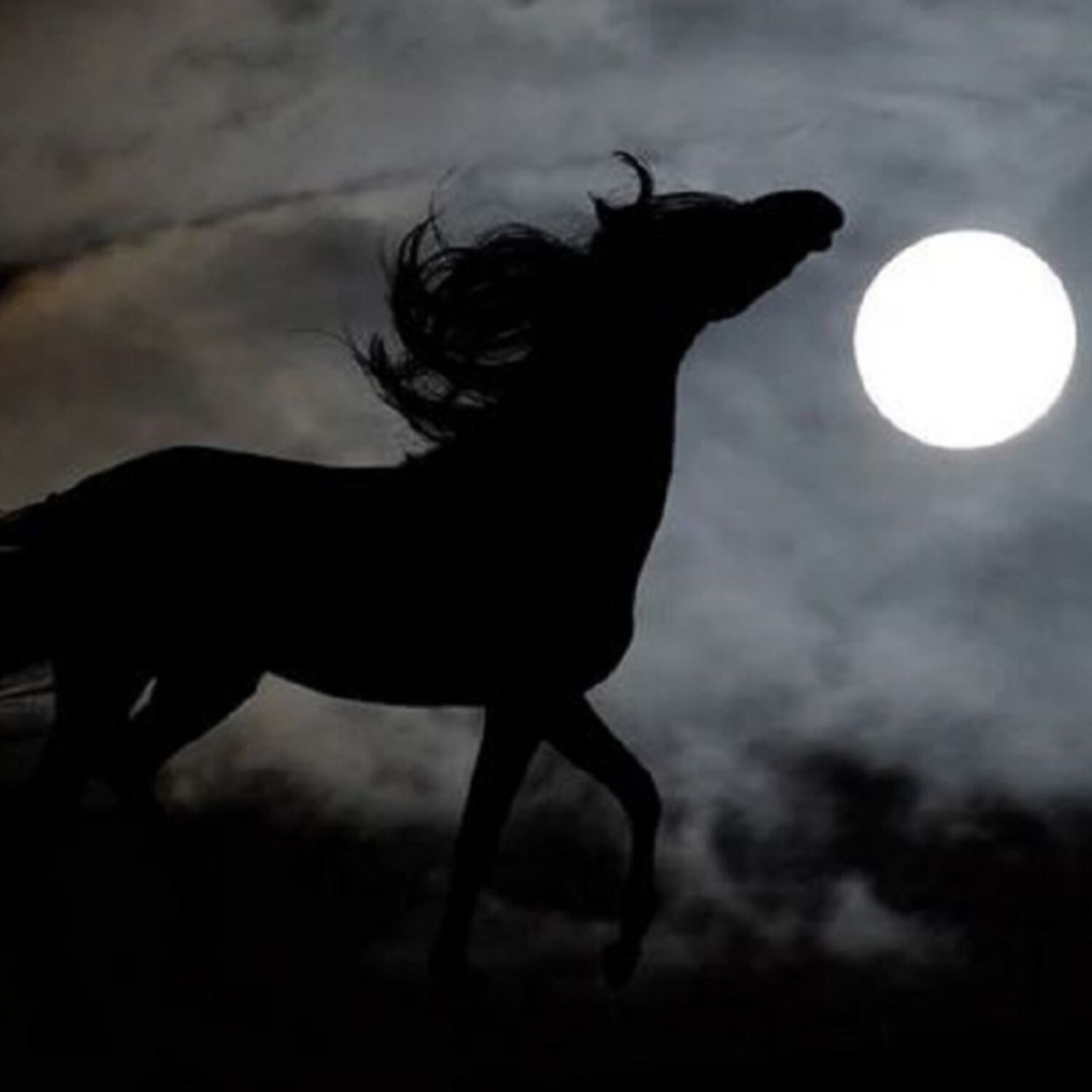 Spécial Halloween : Le Cheval Nocturne