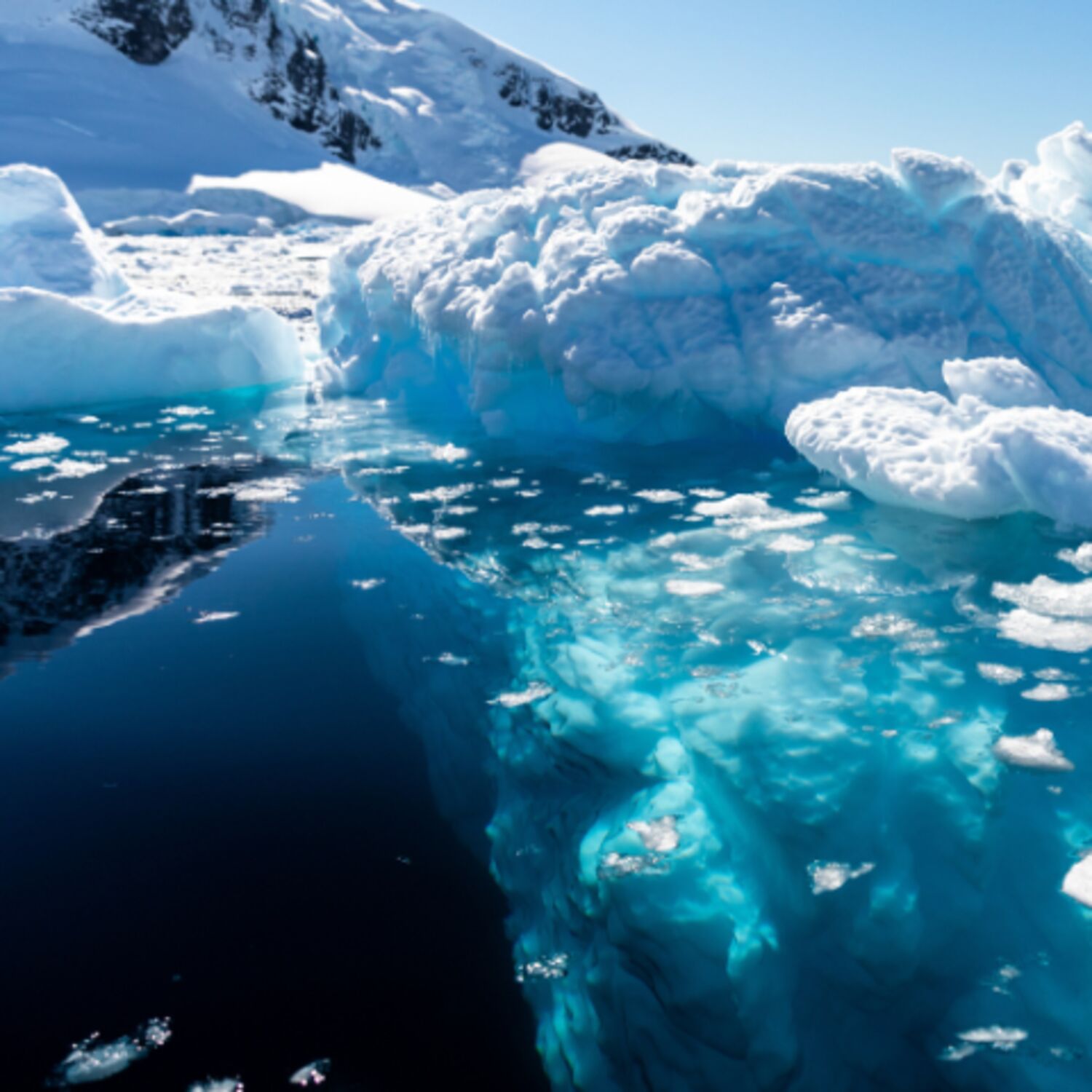 Да спасим нашата планета – кауза на Парижкото споразумение Да спасим нашата планета – кауза на Парижкото споразумение