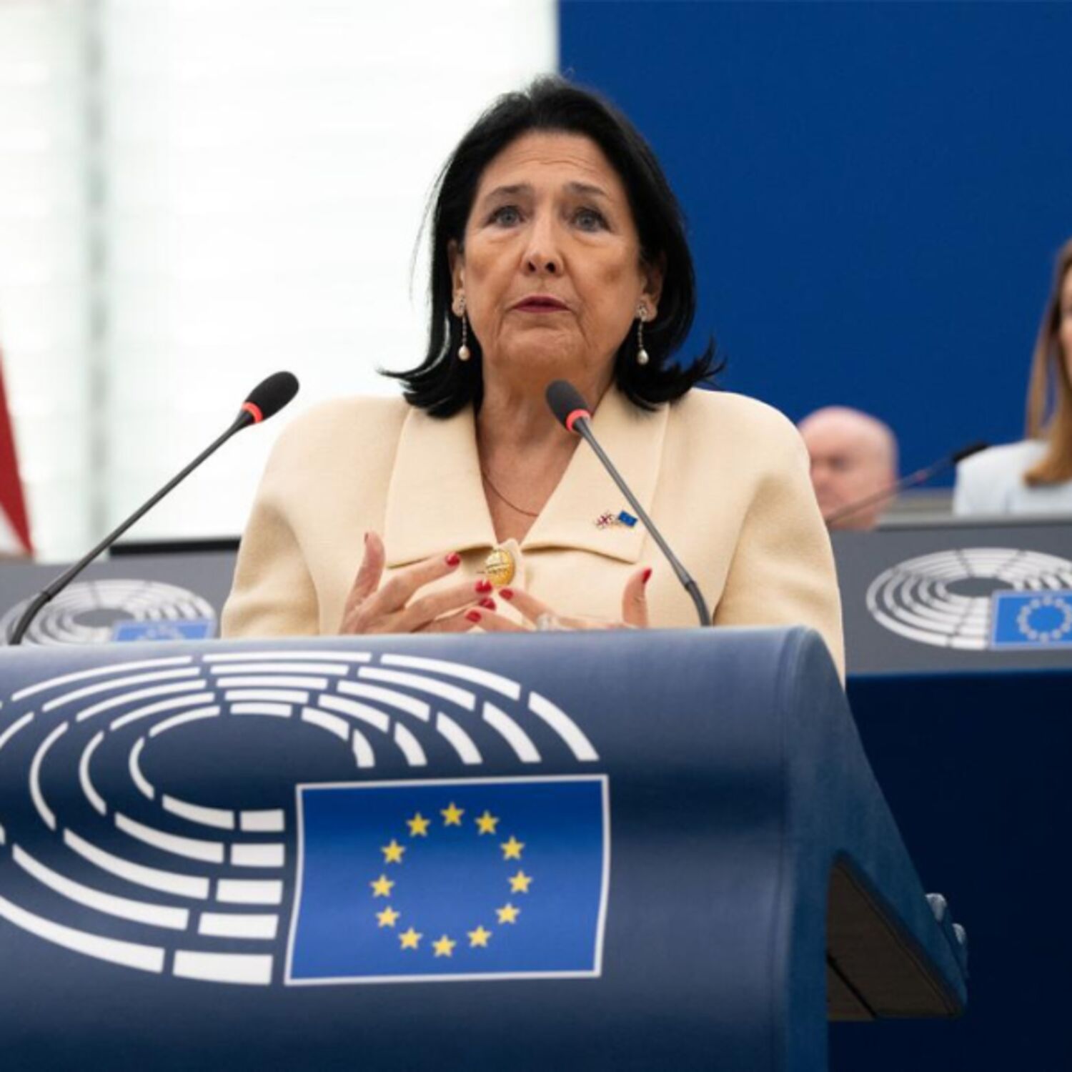 Plenary Round-up - Strasbourg, December 2024