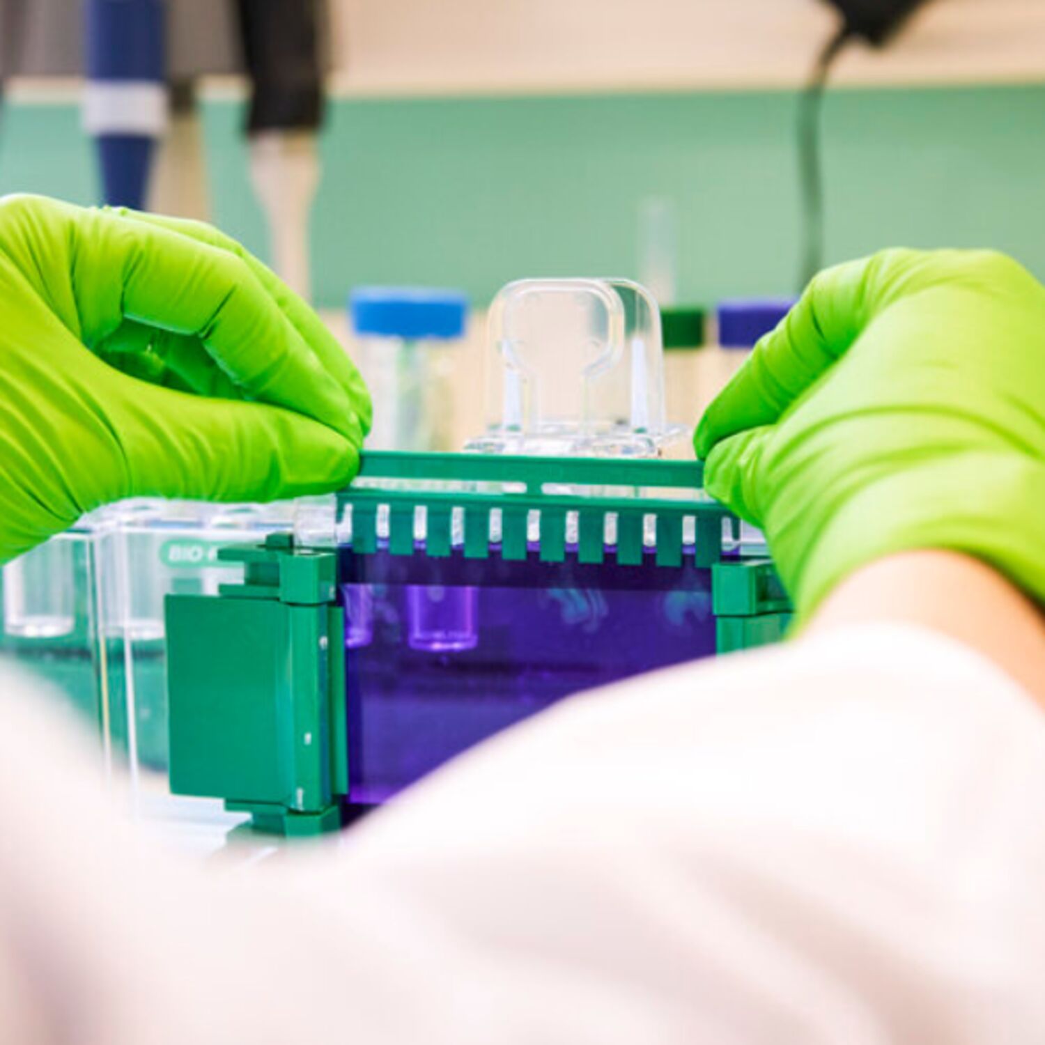 Weekly review 31 October 2025