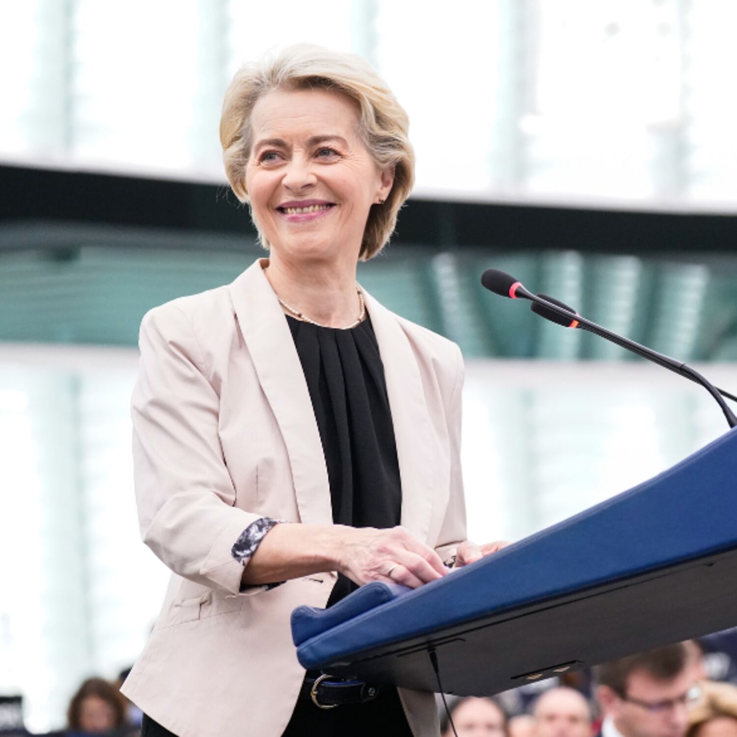 Plenary Round-up - Strasbourg, November 2024