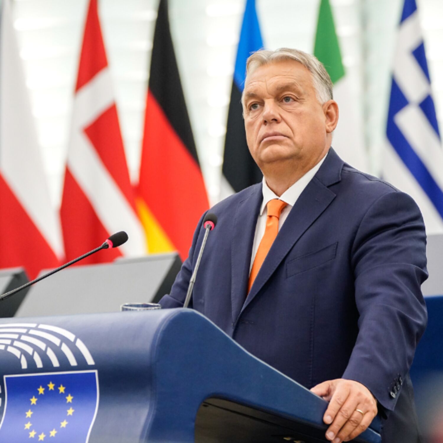 Plenary Round-up - Strasbourg, October I 2024