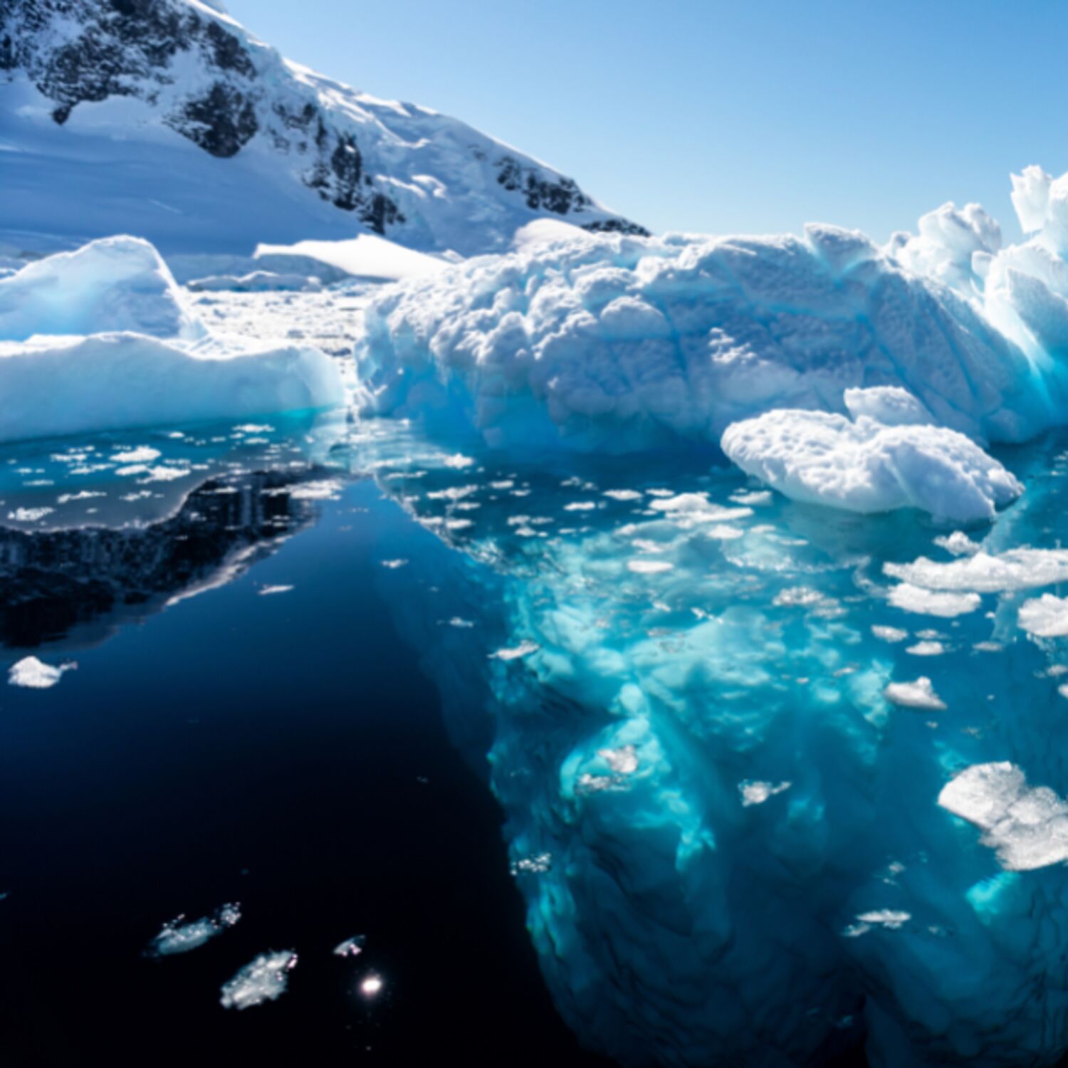 Saving our Planet: the Paris Agreement Saving our Planet: the Paris Agreement