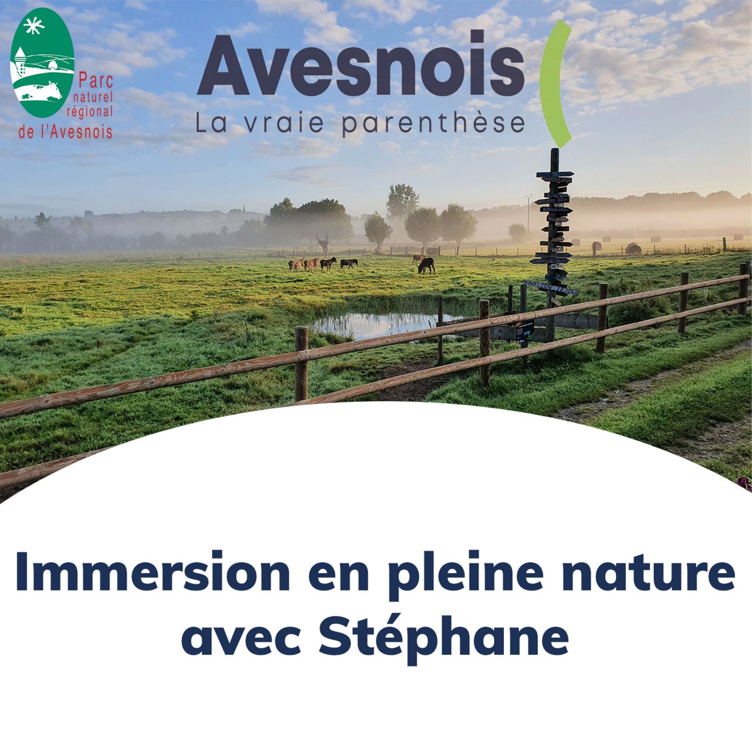 Episode 1 : Immersion pleine nature avec Stéphane, les Moût’ânes,...