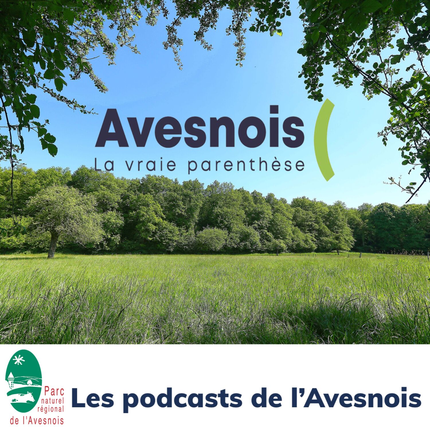 Sur Canal FM, On découvre l'Avesnois : Les Mout Anes
