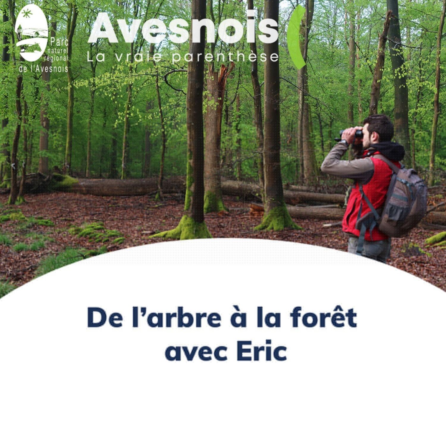 Episode 9 : De l'arbre à la forêt avec Eric