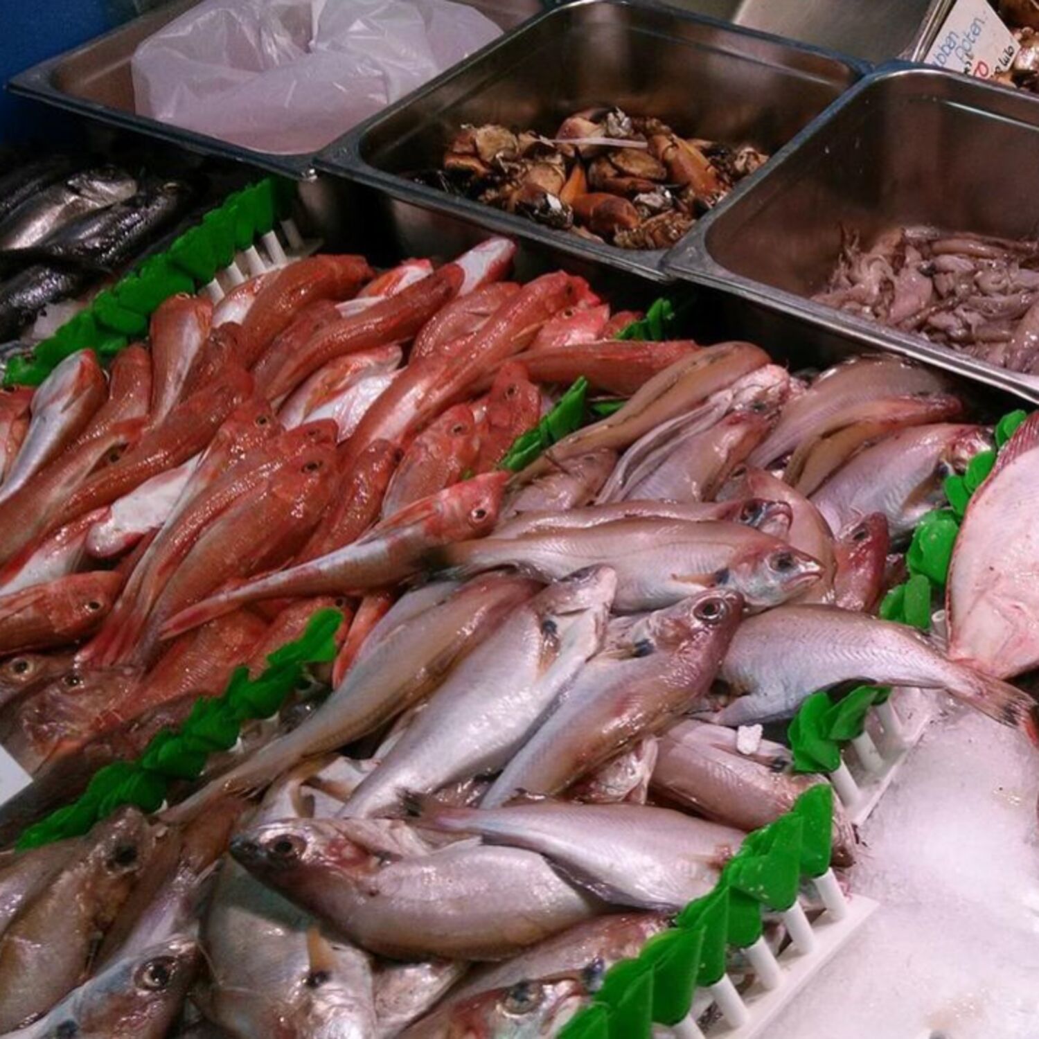 Terre de Pêche à Loctudy : de la mer à votre assiette !