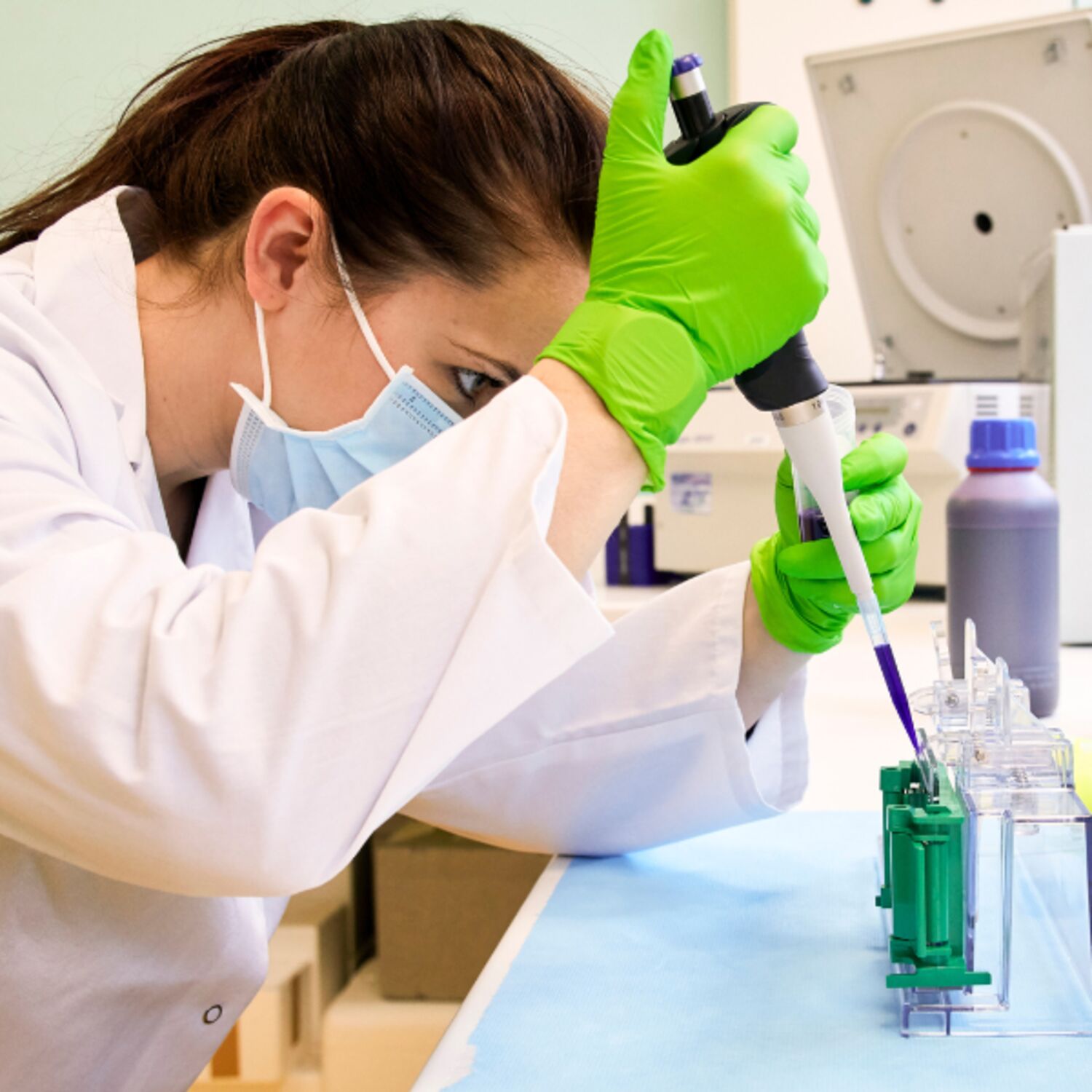 SV - Höj ribban: bättre lagstiftning