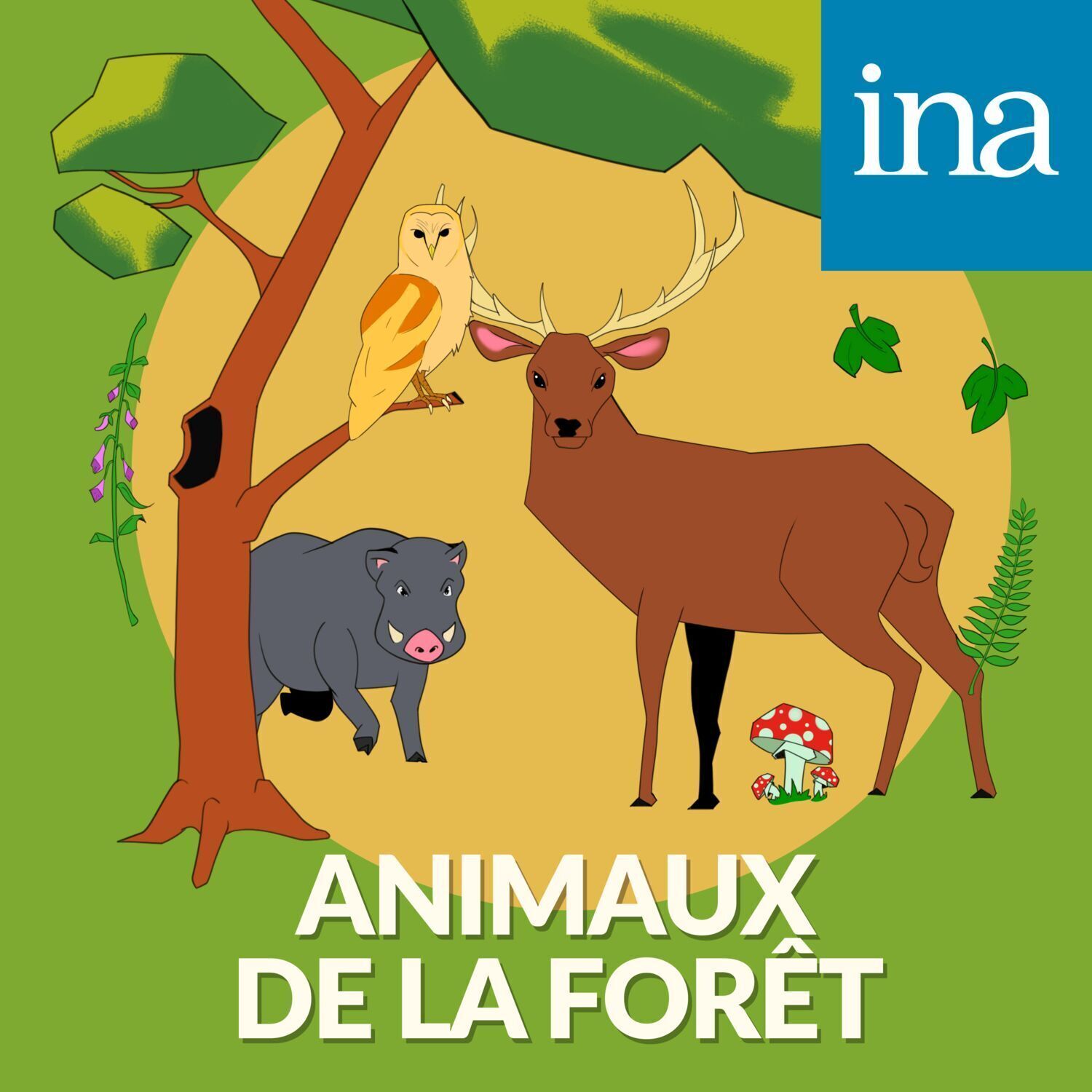 [Les Animaux de la forêt] La chouette, redoutable chasseuse