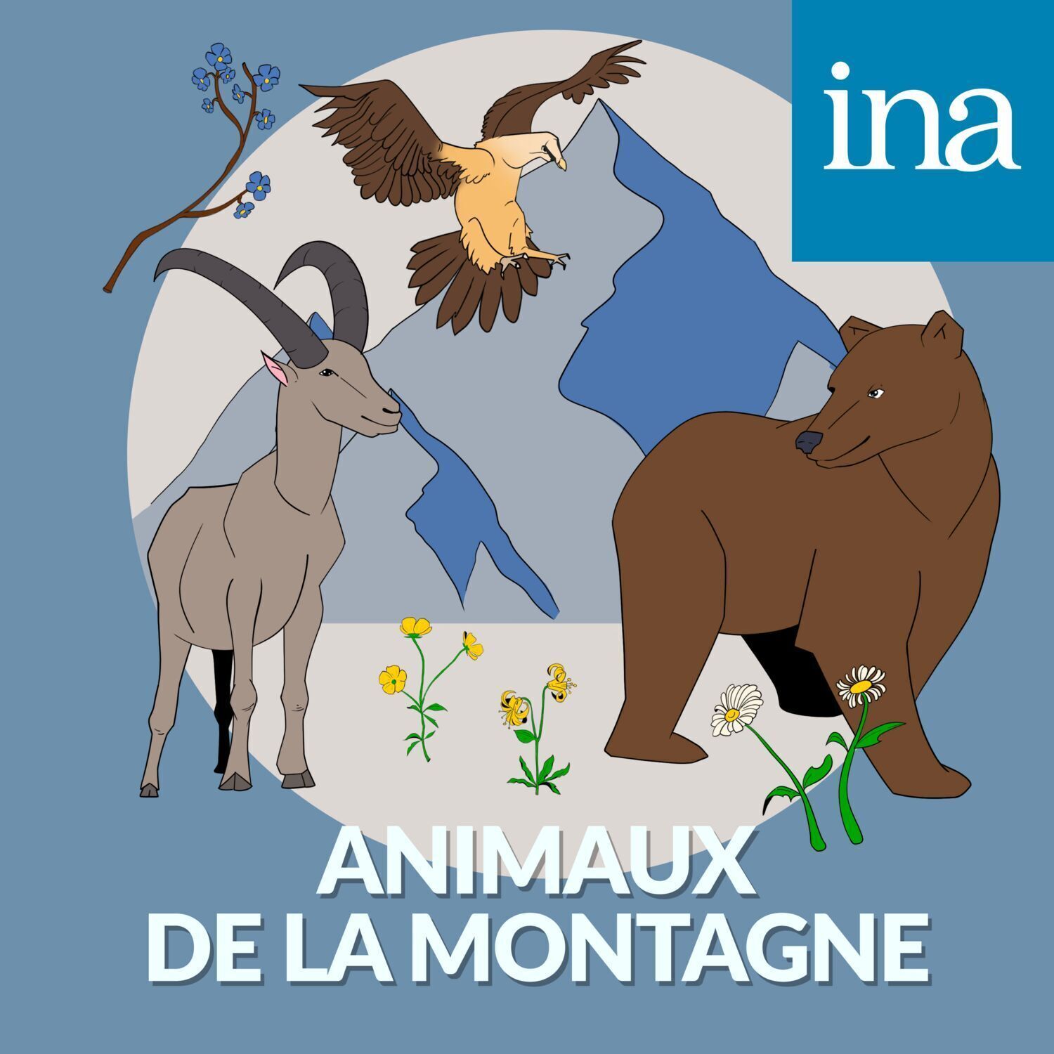 [Les Animaux de la montagne] Le Vautour fauve fait place nette