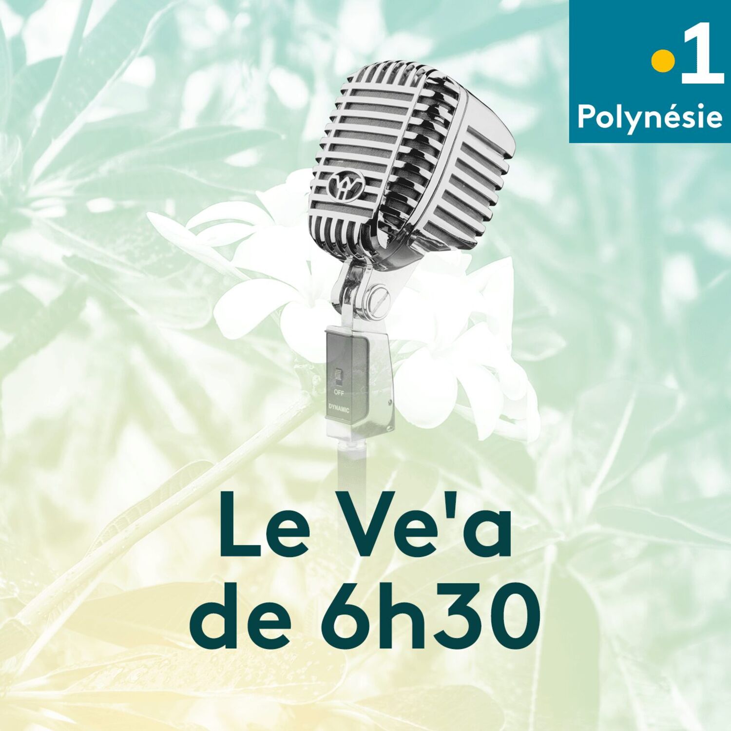 Ve'a de 06h30
