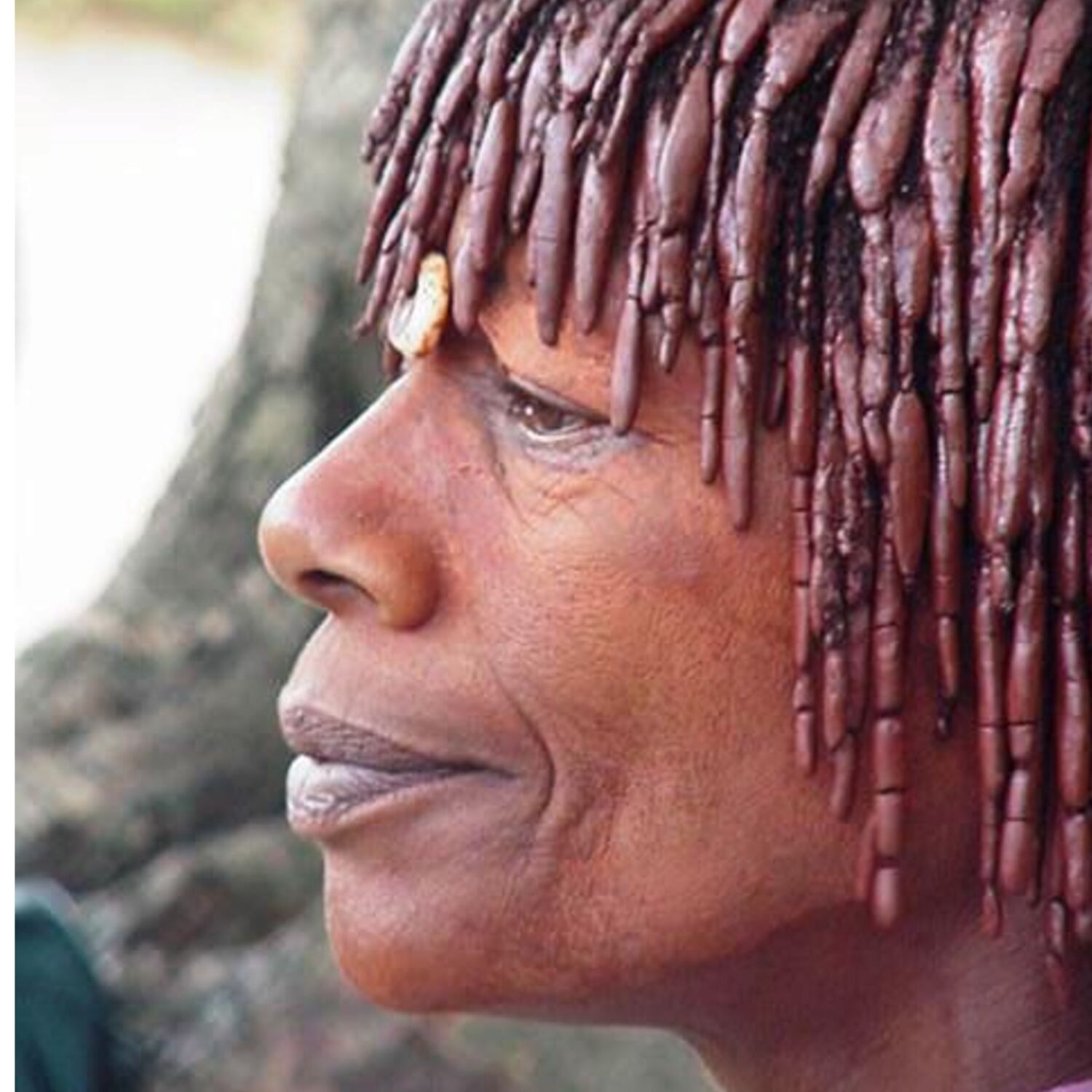 Instantanés du monde à Hluhluwe ( Afrique du Sud ) Instantanés du monde à Hluhluwe ( Afrique du Sud )