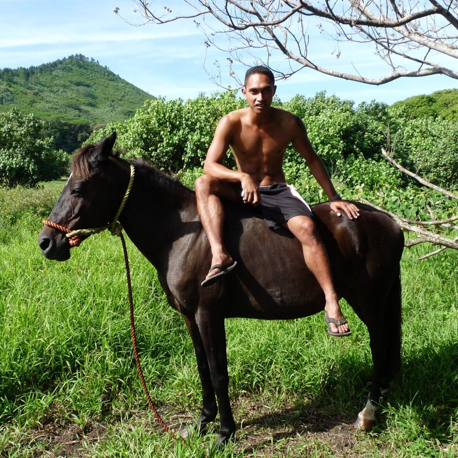 Instantanés du Monde