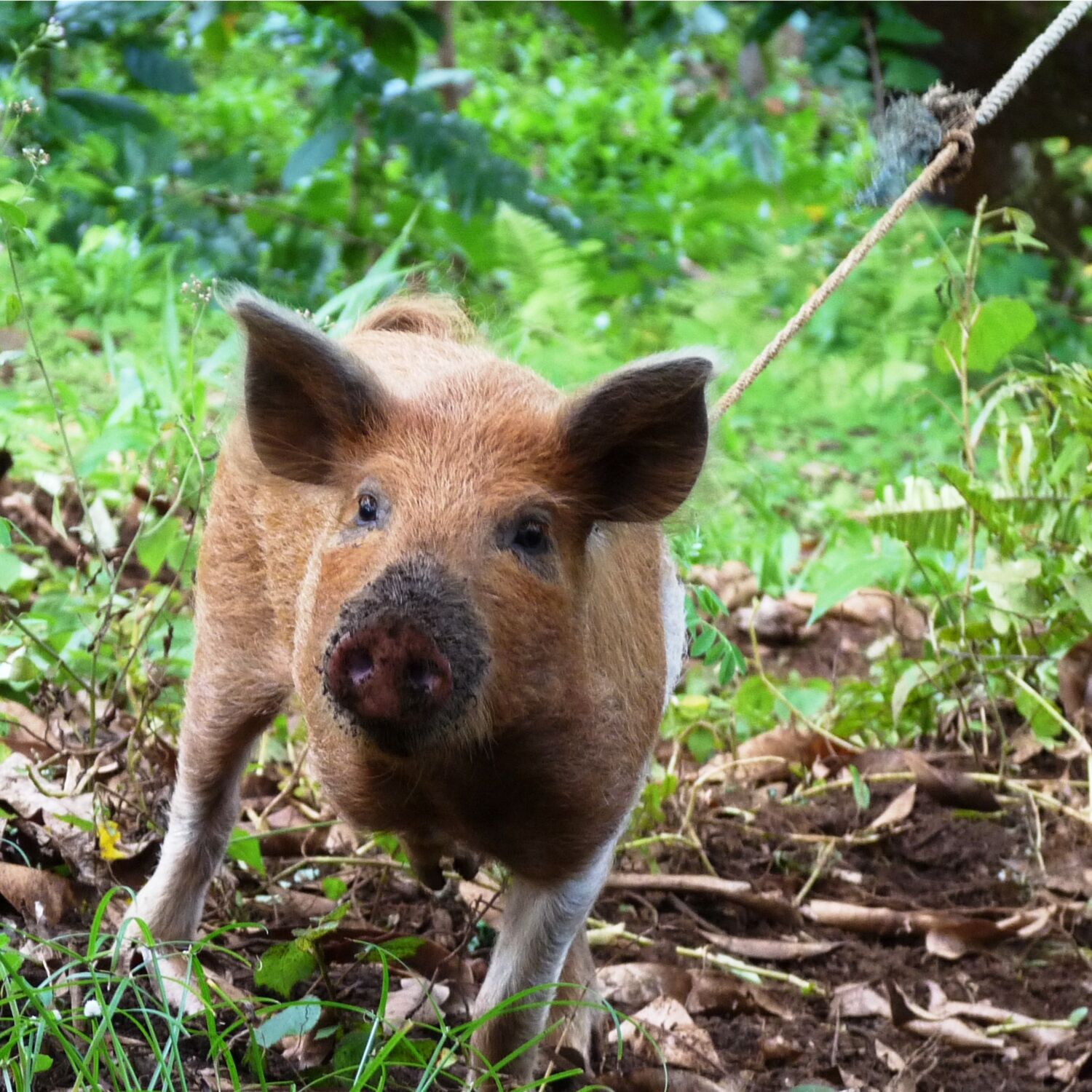 Instantanés du Monde