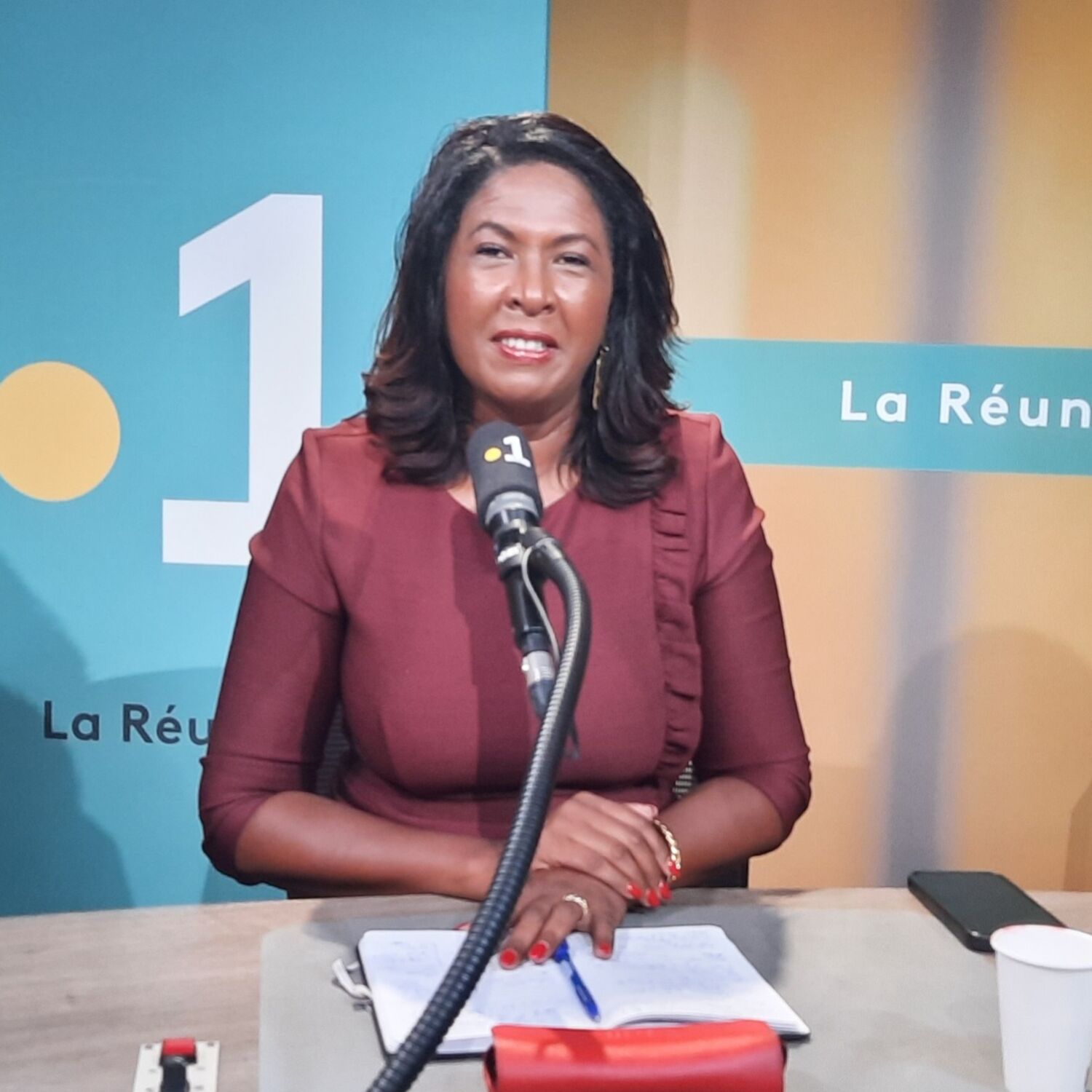 Céline Sitouze, nouvelle maire de Sainte-Marie episode artwork