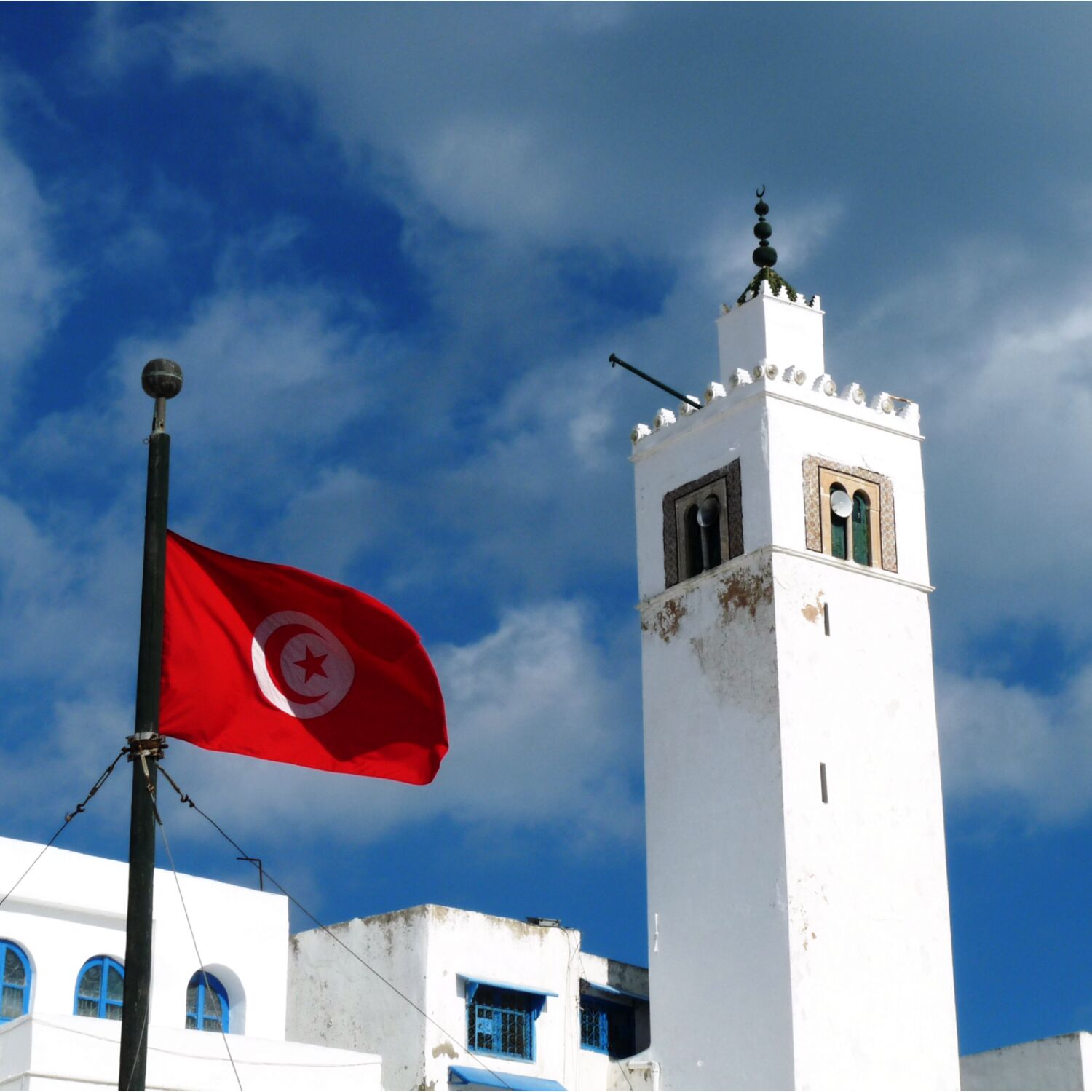 Instantanés du monde dans les universités tunisiennes ( Tunisie ) Instantanés du monde dans les universités tunisiennes ( Tunisie )