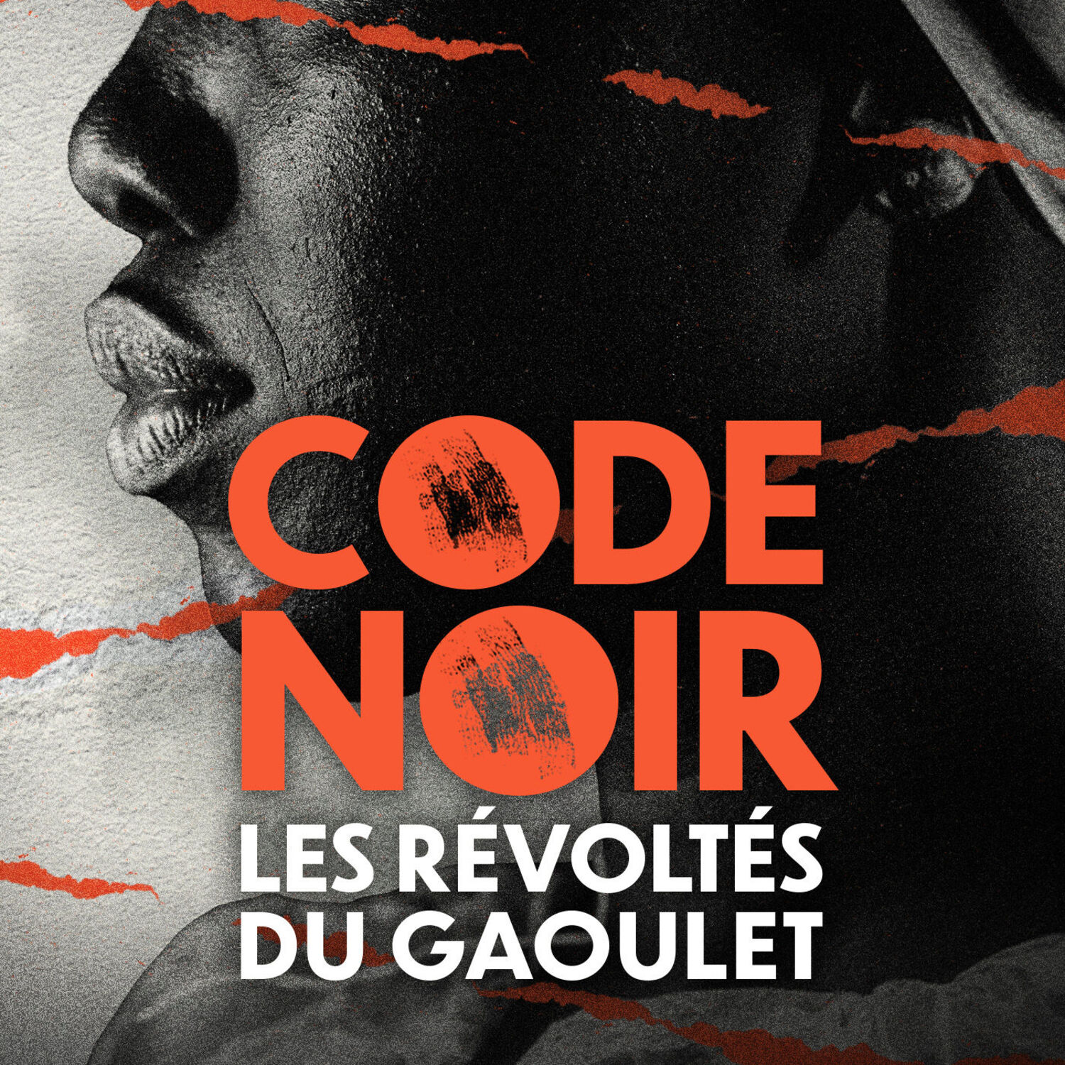 Code Noir, les révoltés du Gaoulet 4/6 Code Noir, les révoltés du Gaoulet 4/6