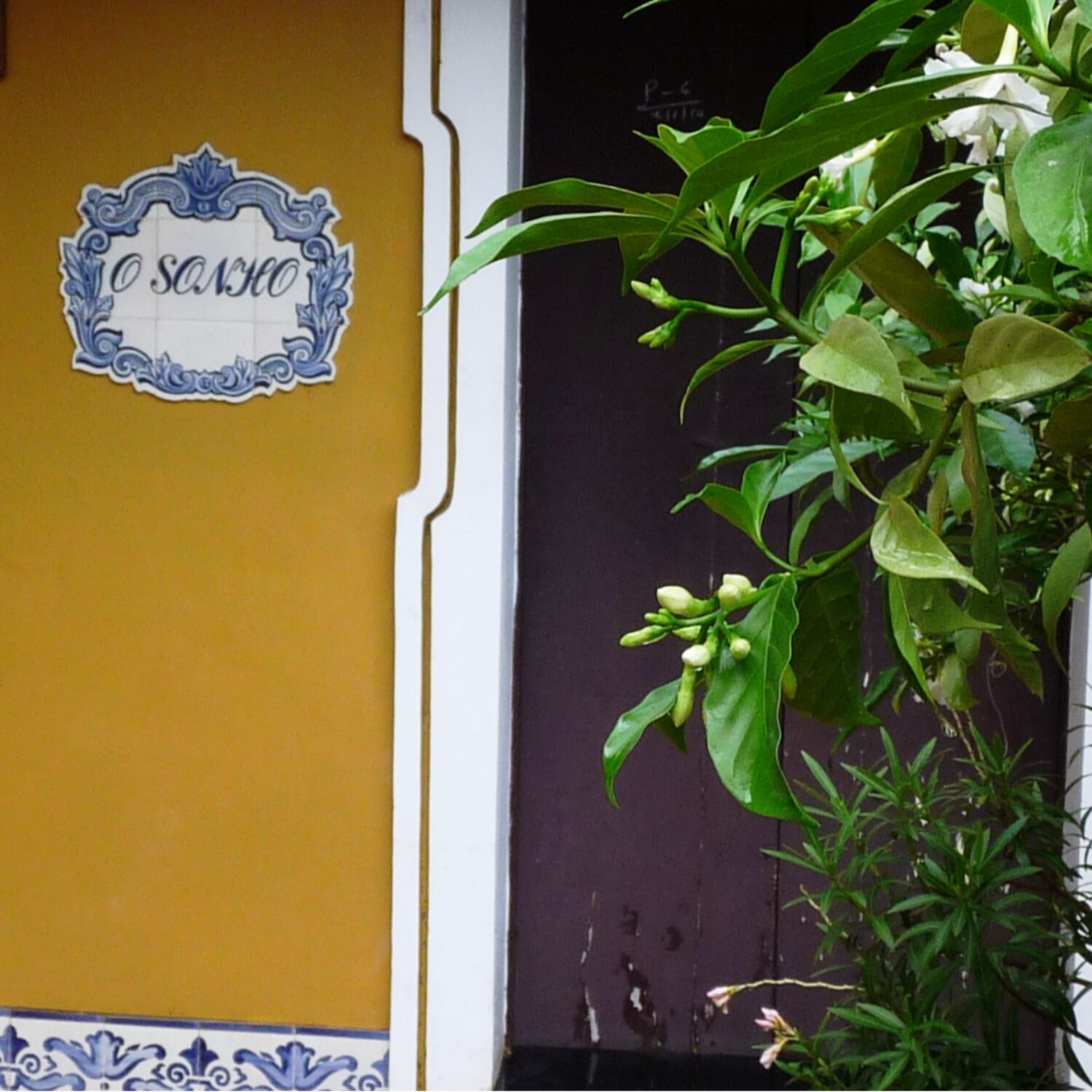 Instantanés du Monde