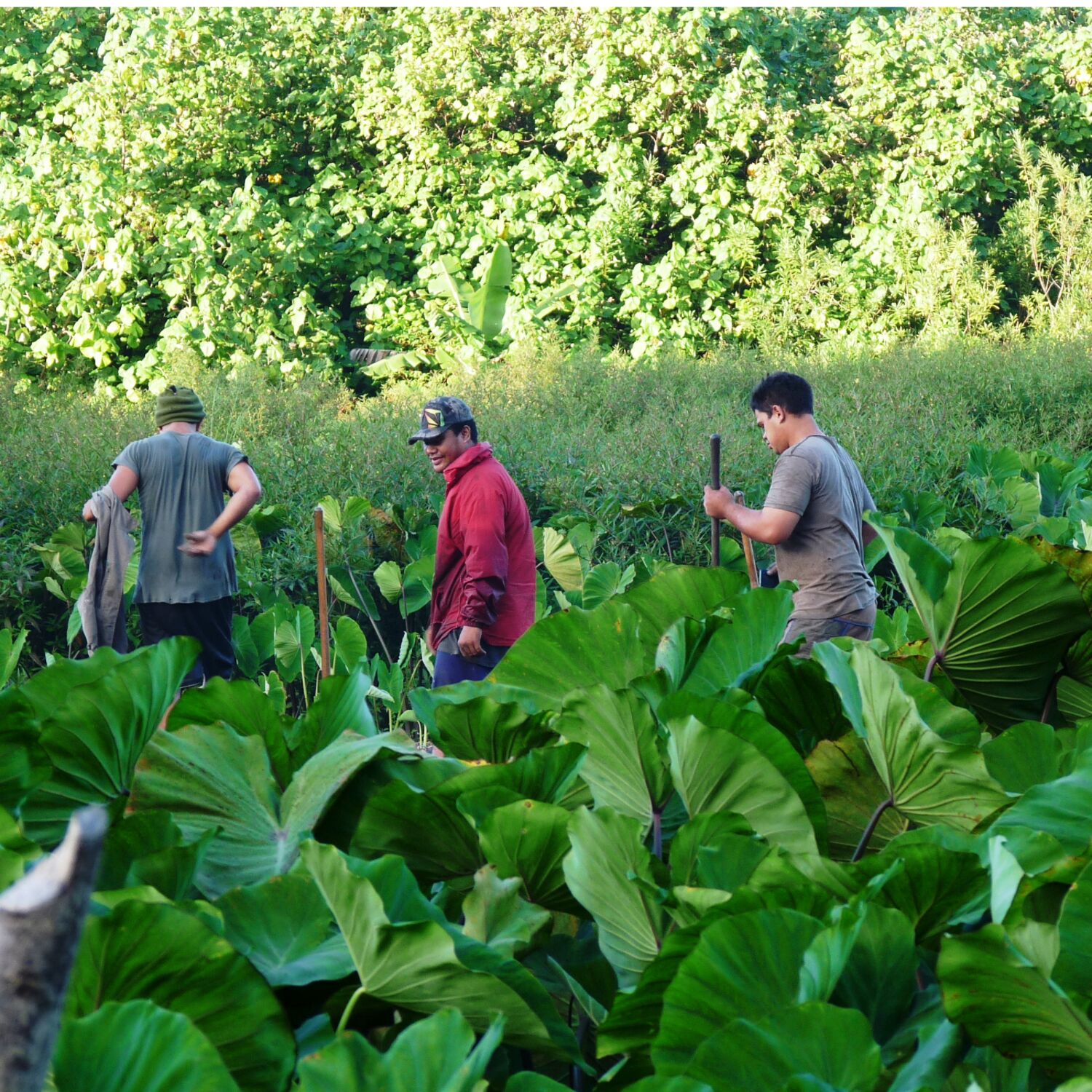 Instantanés du Monde
